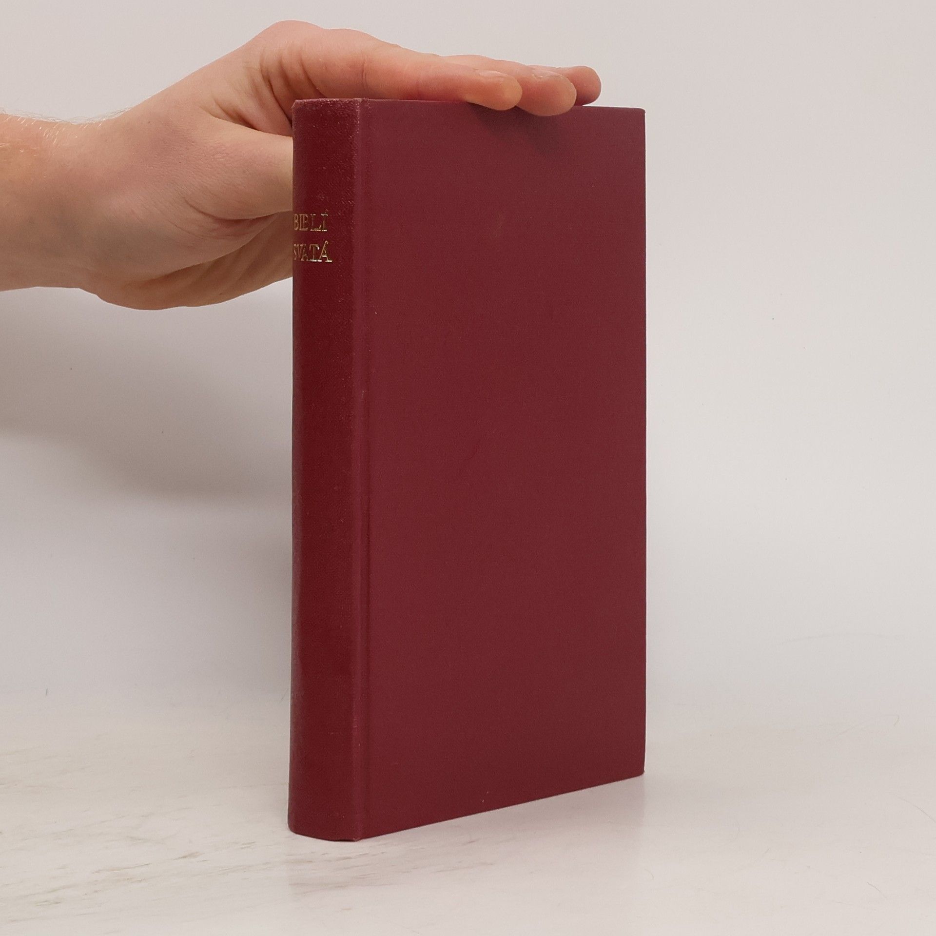 Collectif d'auteurs Biblí svatá aneb Všecka svatá písma Starého i Nového zákona