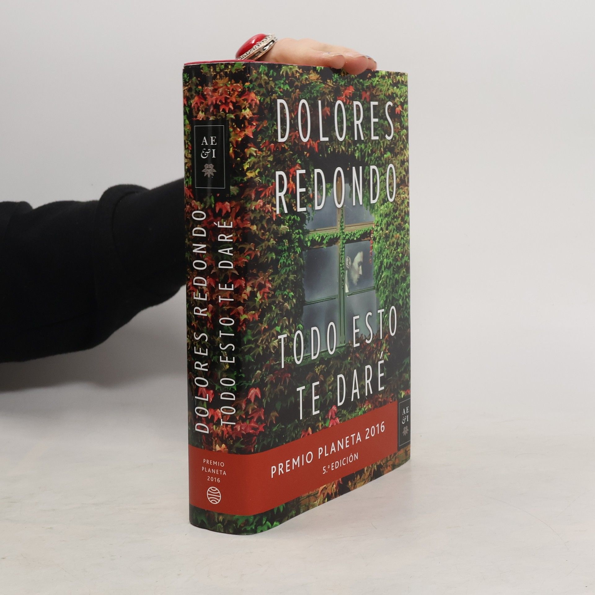 Dolores Redondo Todo esto te daré