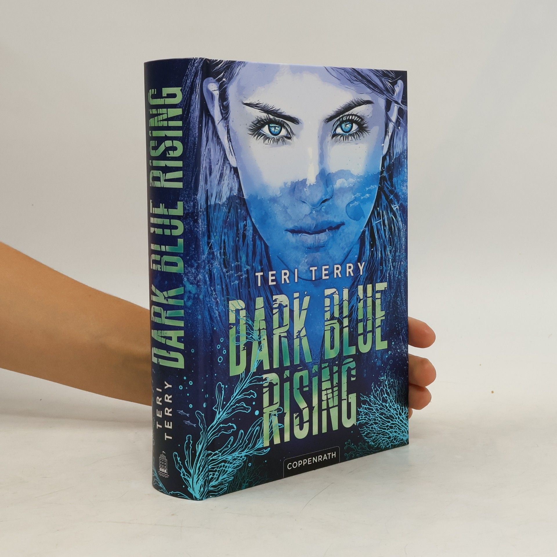 Teri Terry Dark Blue Rising