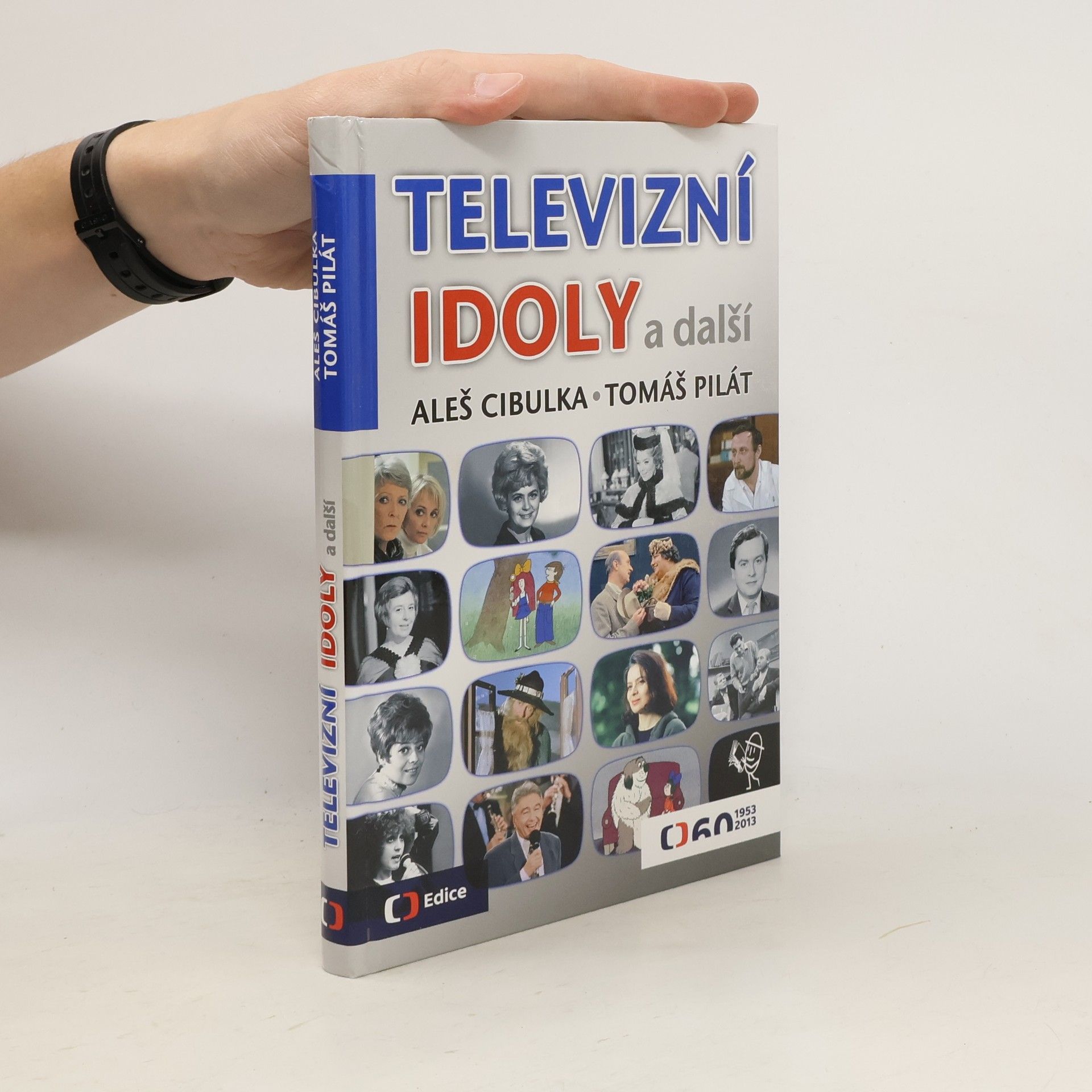 Aleš Cibulka Televizní idoly a další