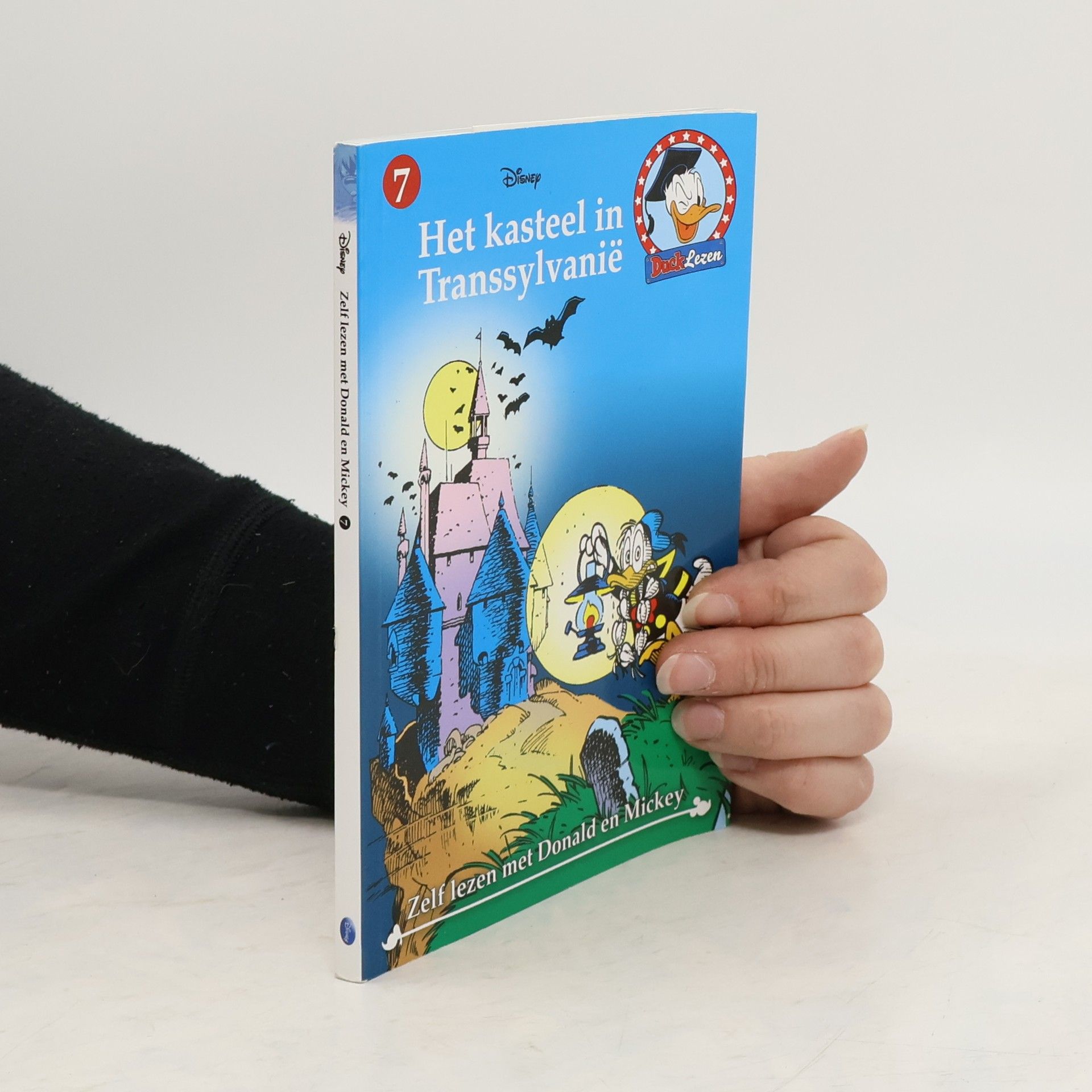 Auteurscollectief Het kasteel in Transsylvanië