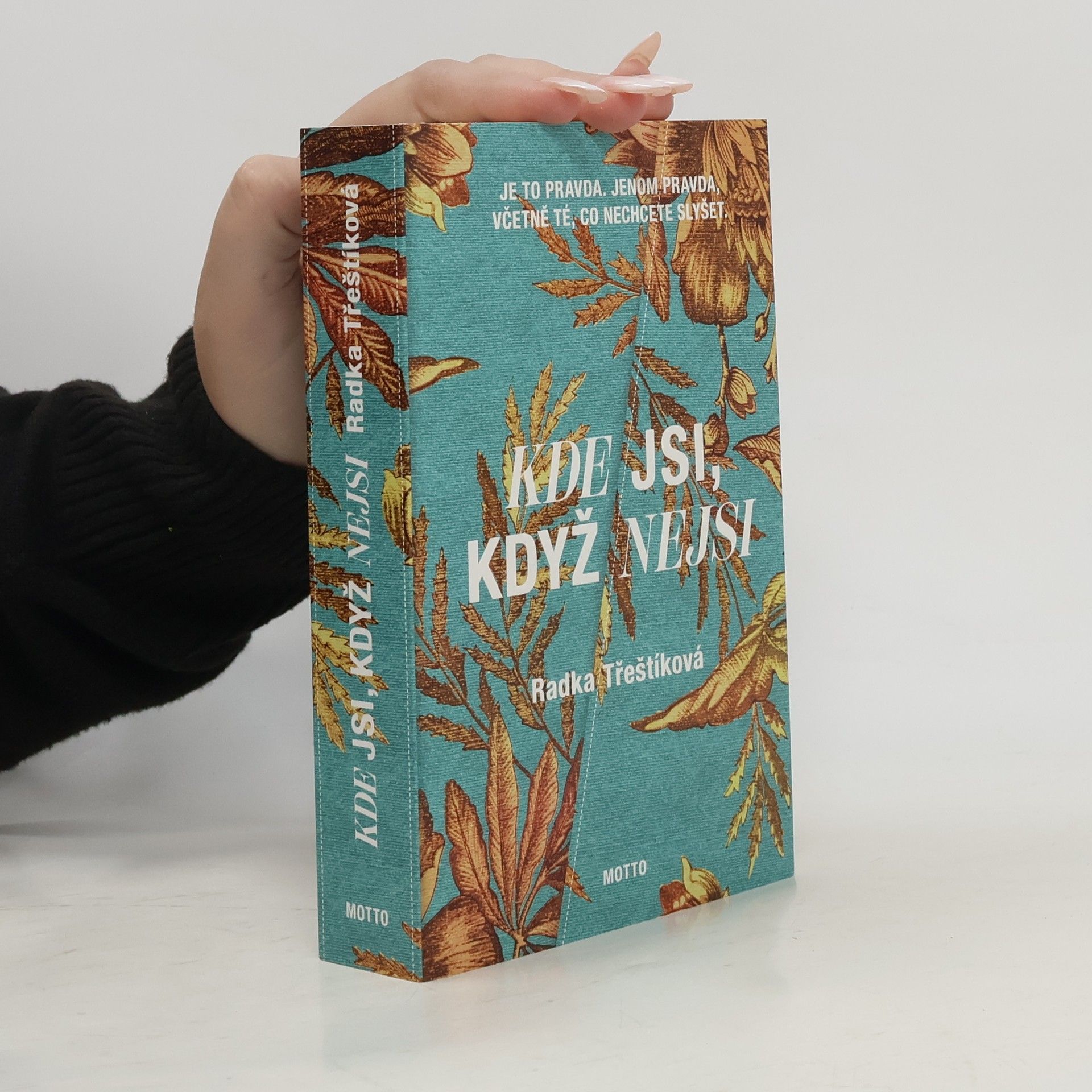 Radka Třeštíková Kde jsi, když nejsi