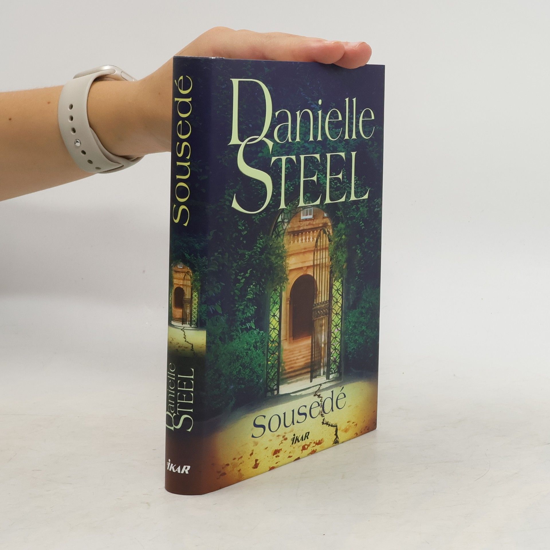 Danielle Steel Sousedé