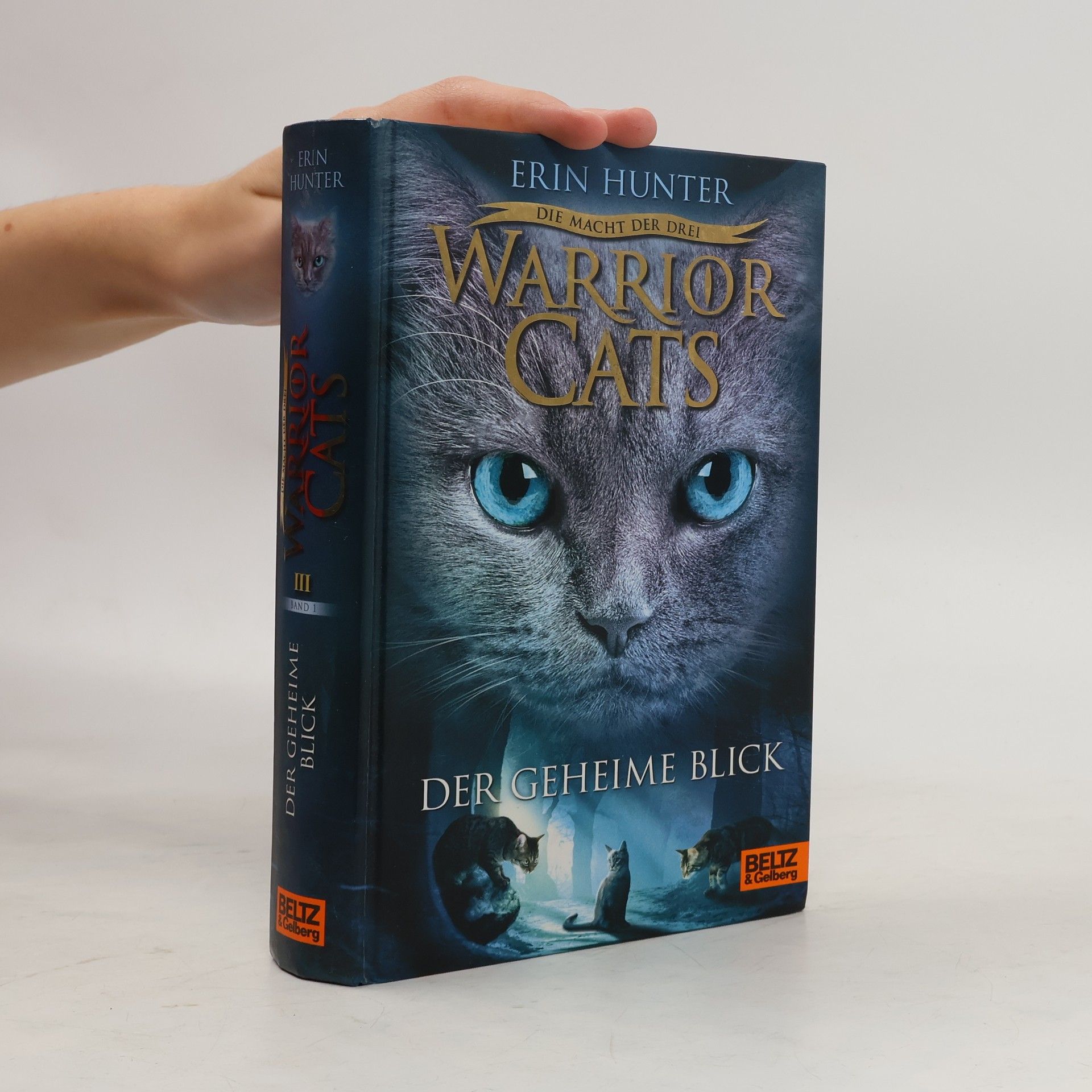 Erin Hunter Warrior Cats: Der geheime Blick