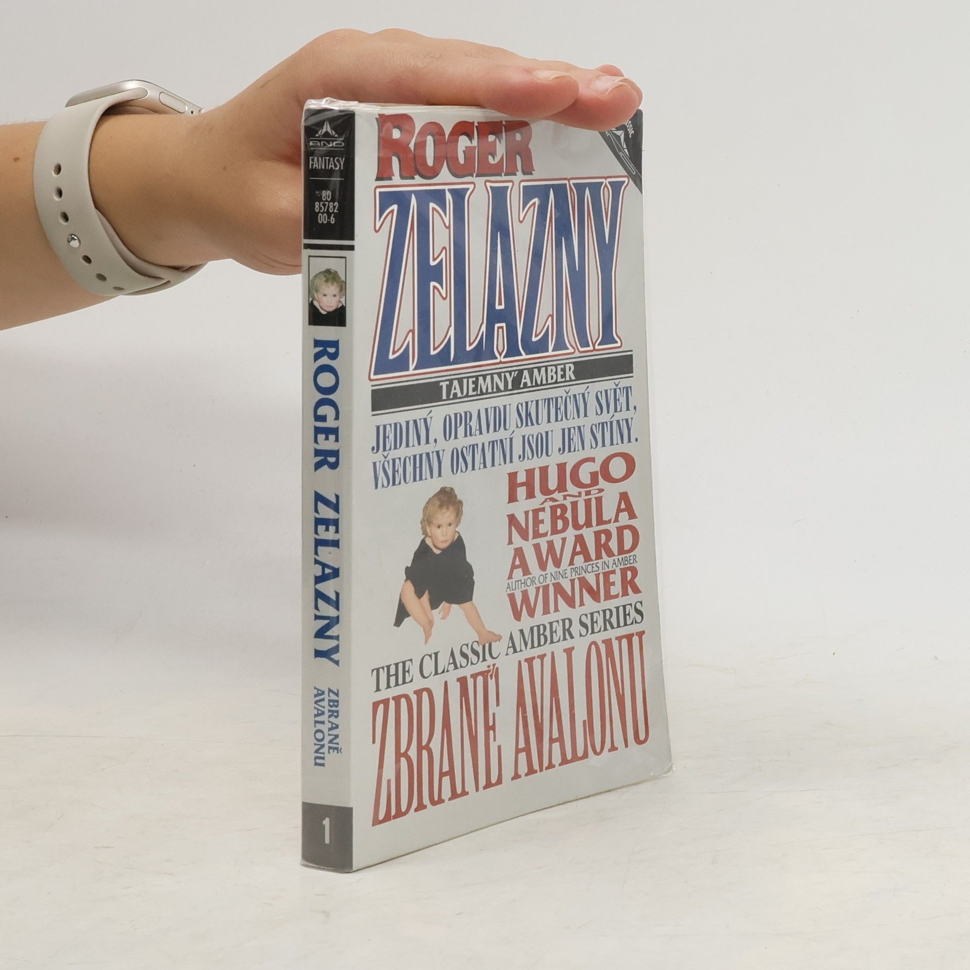 Tajemný Amber. Zbraně Avalonu