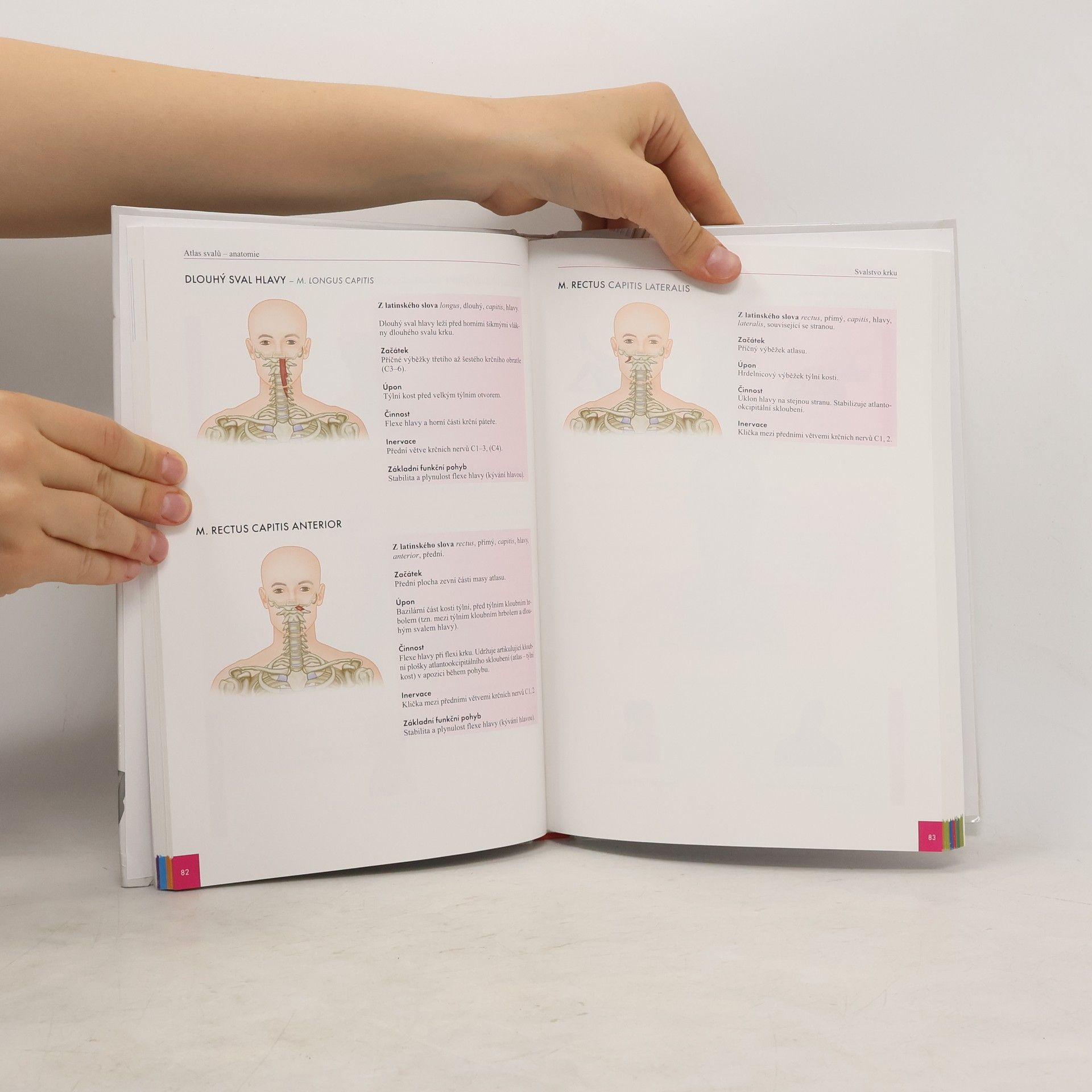Chris Jarmey Atlas svalů - anatomie