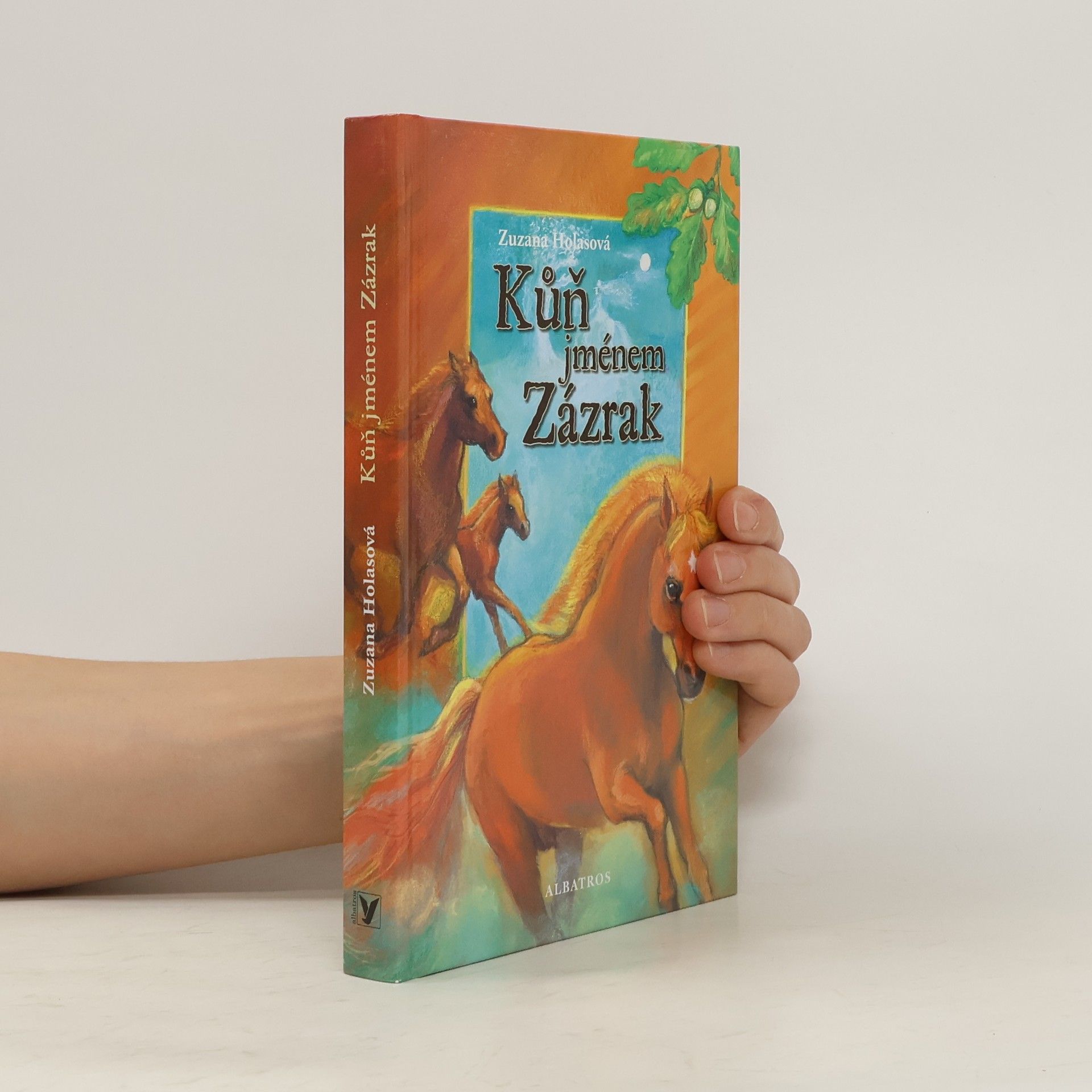 Zuzana Holasová Kůň jménem Zázrak