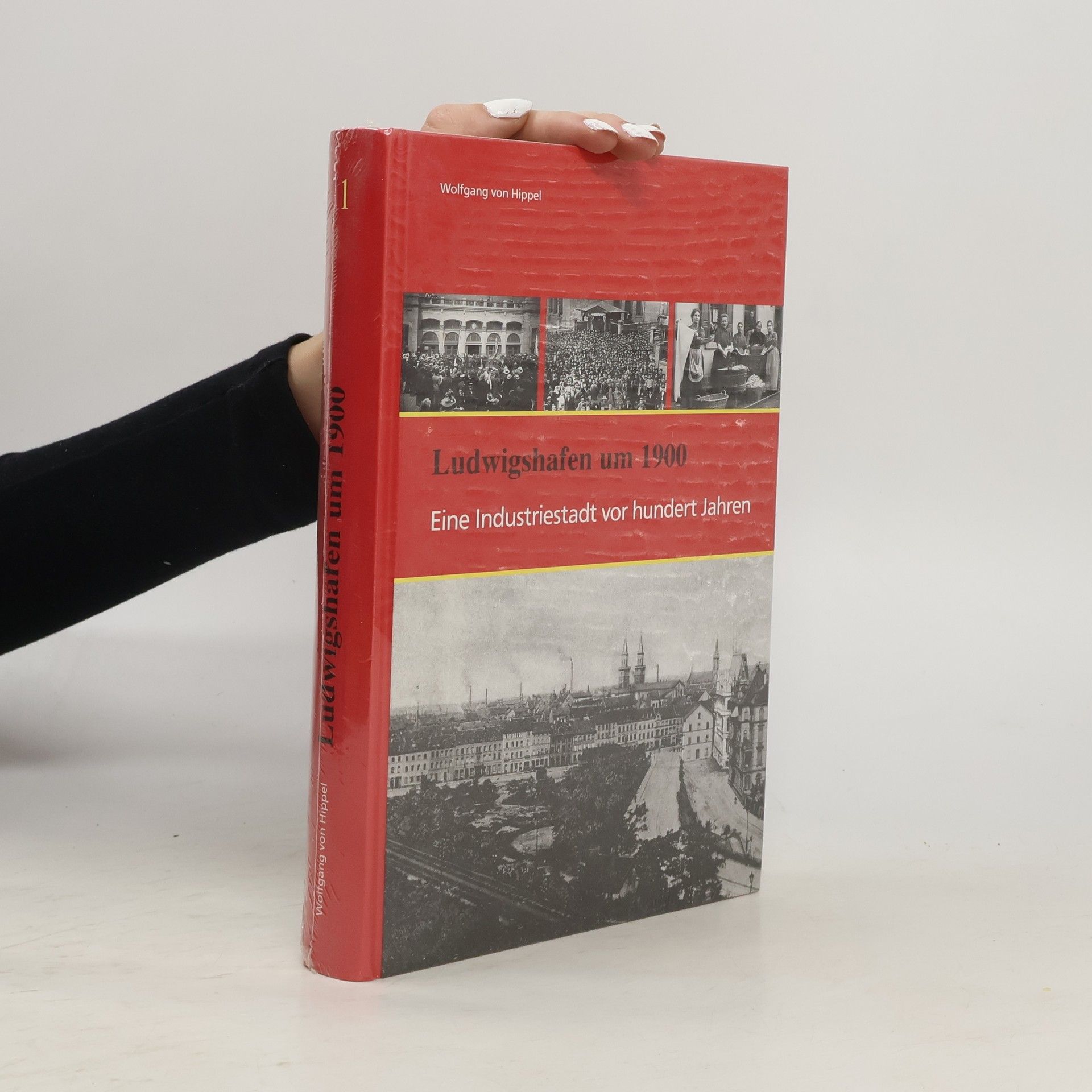 Various authors Eine Industriestadt vor hundert Jahren