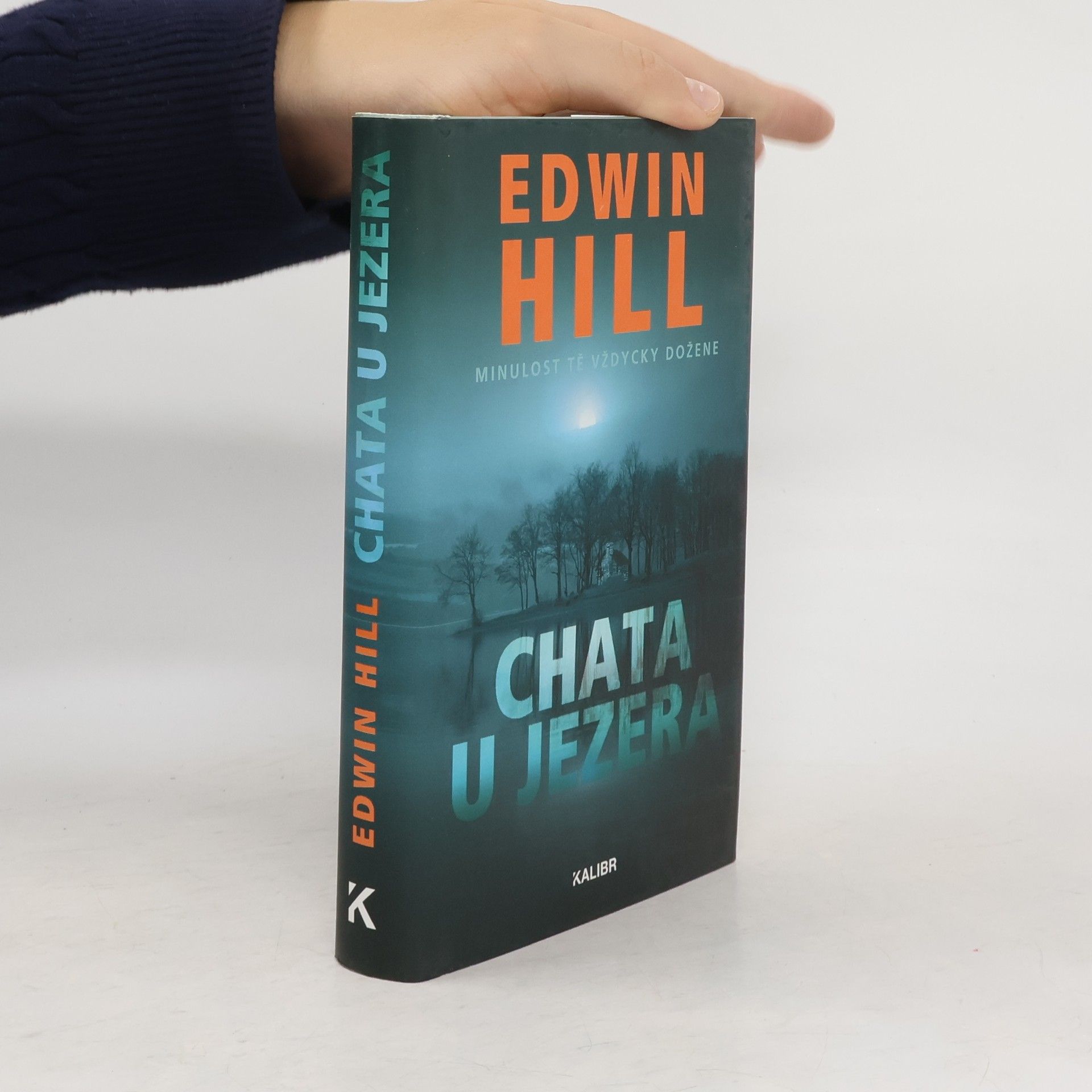 Edwin Hill Chata u jezera