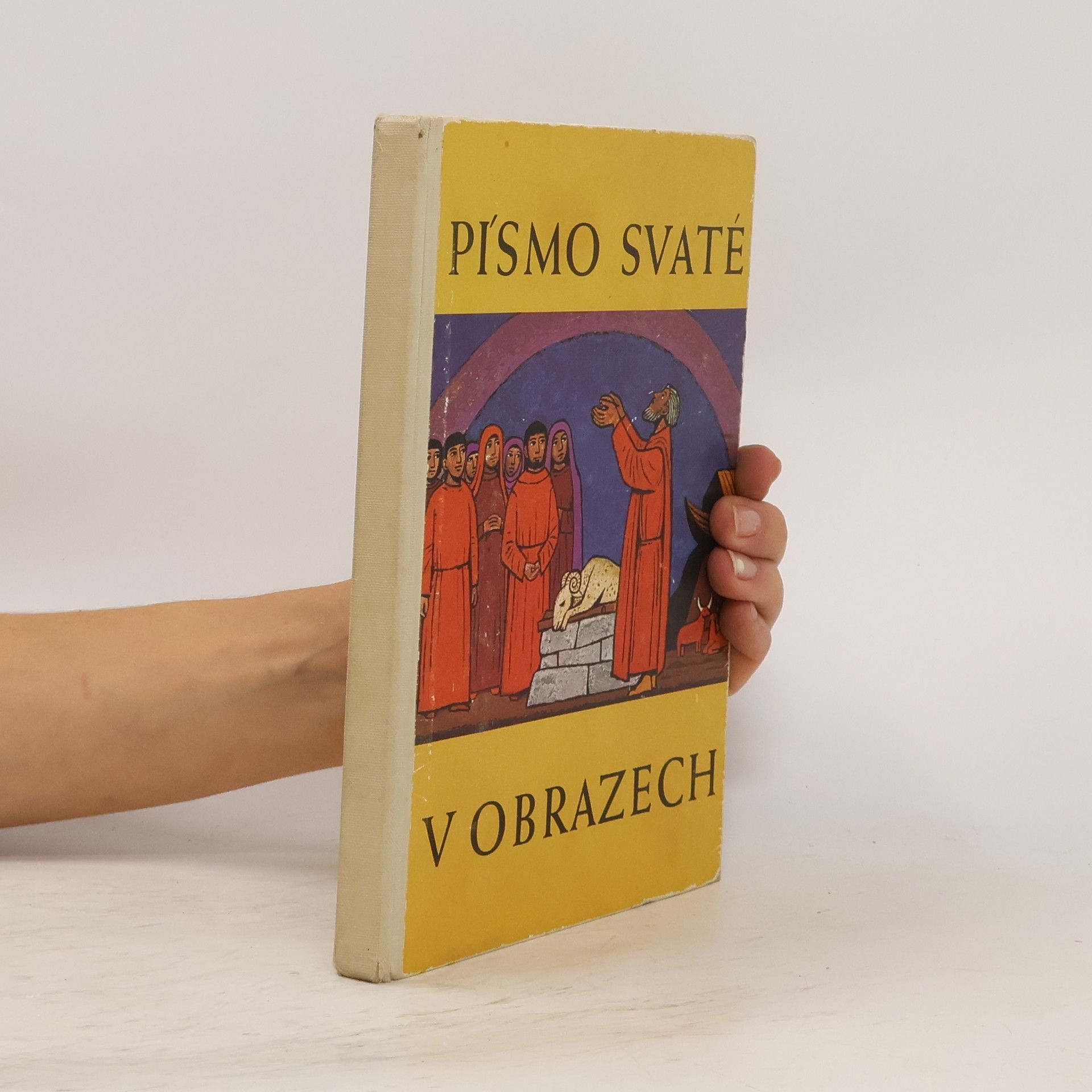 Kolektiv autorů Písmo svaté v obrazech