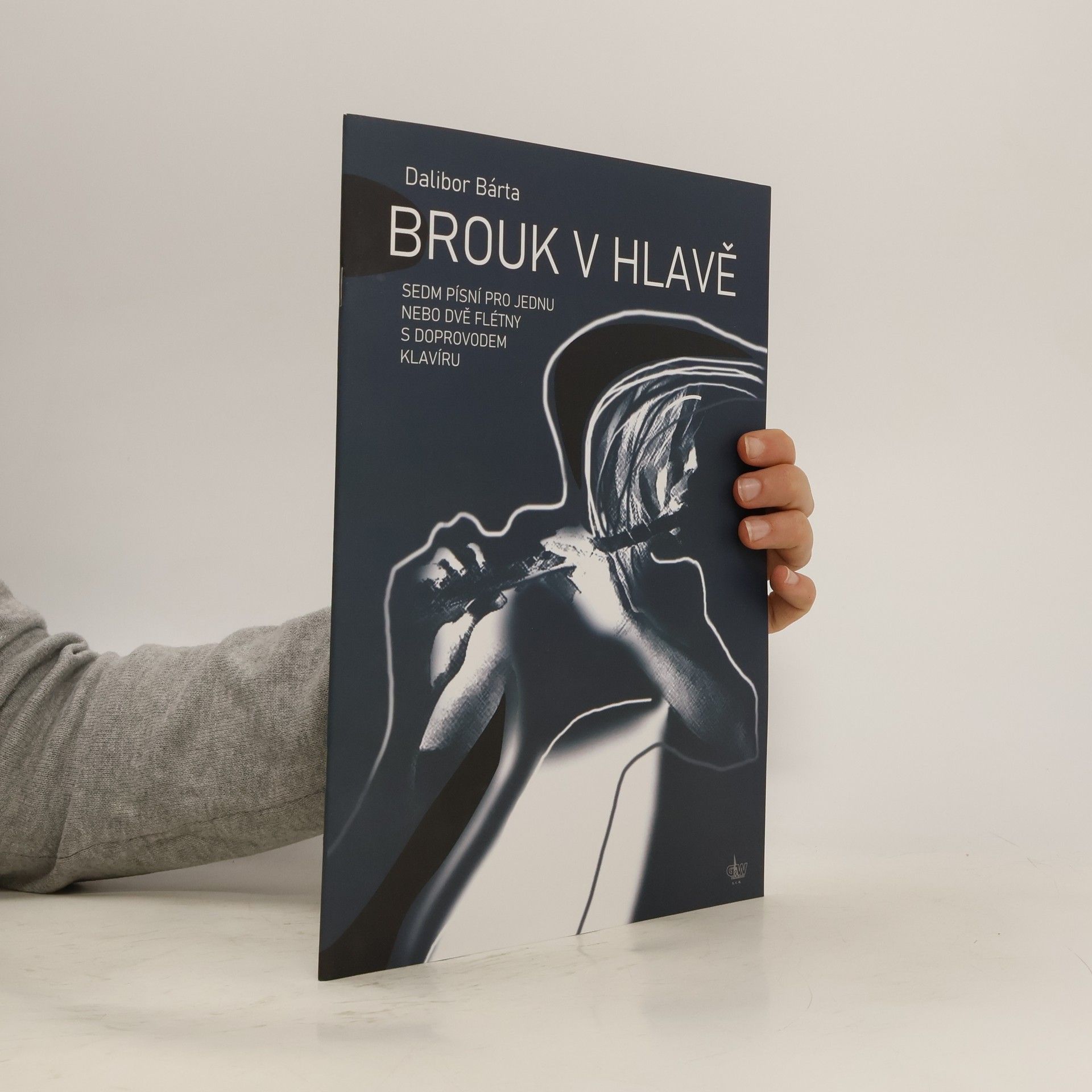 výroba hudeb.nástrojů G+W Brouk v hlavě + CD