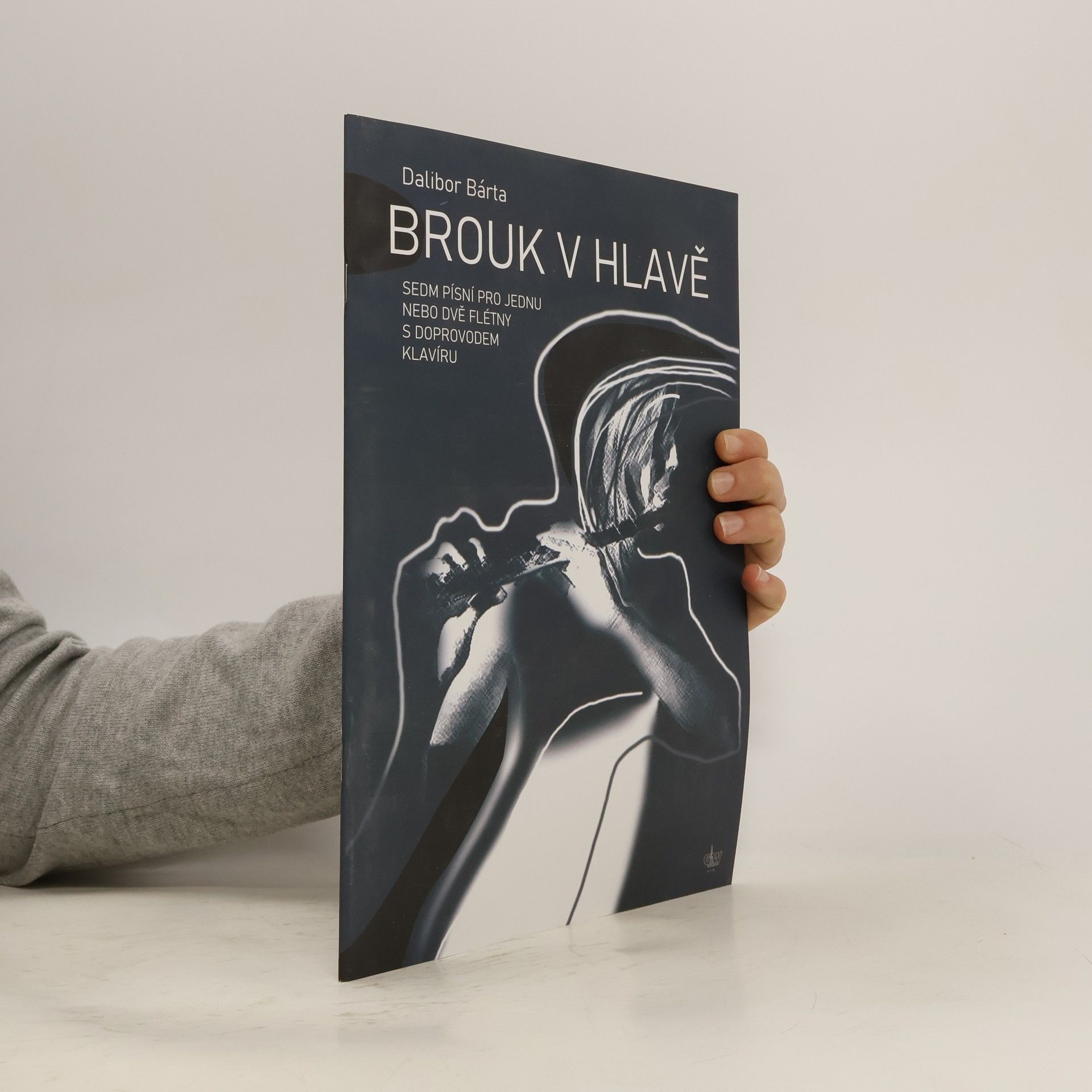 výroba hudeb.nástrojů G+W Brouk v hlavě