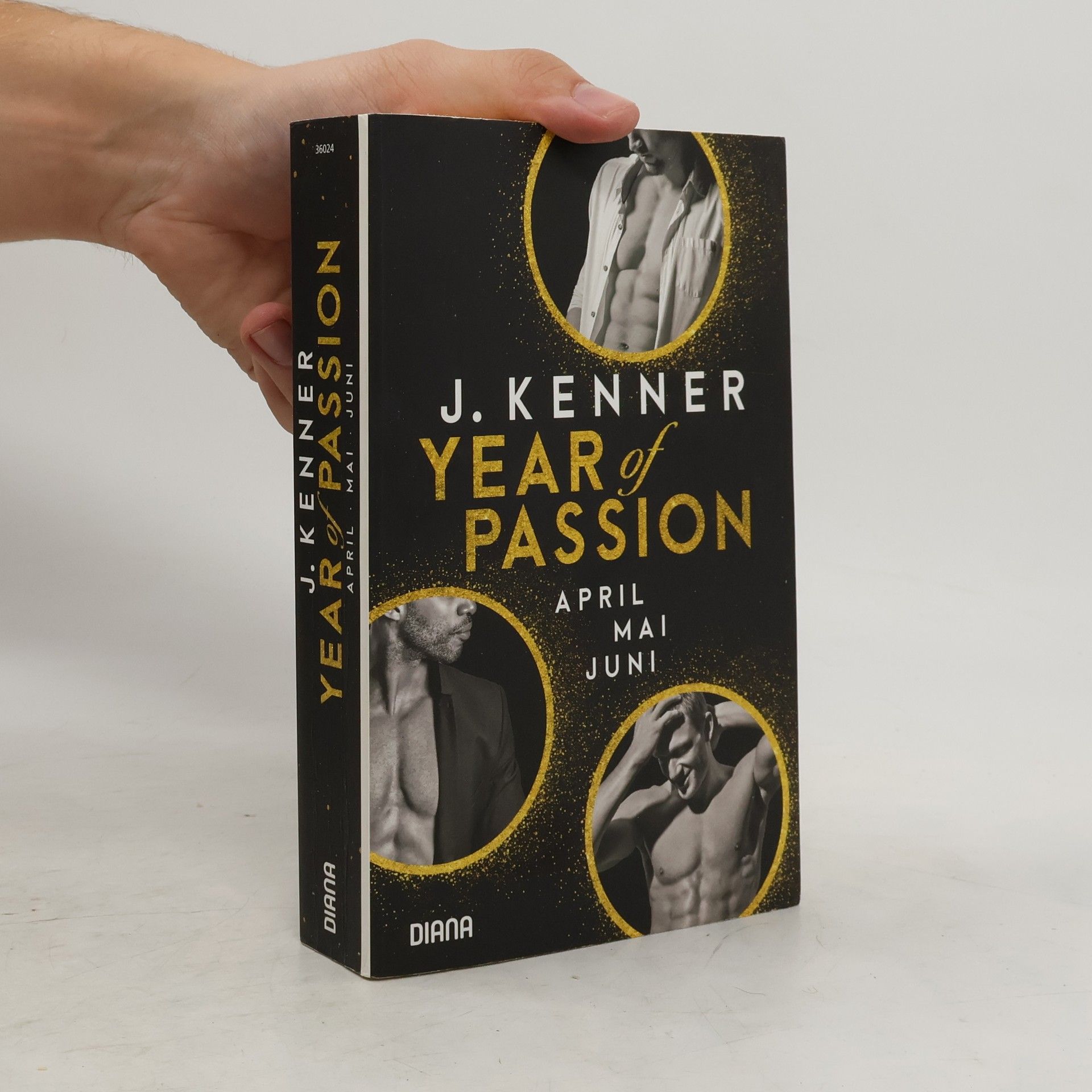 Julie Kenner Year of Passion