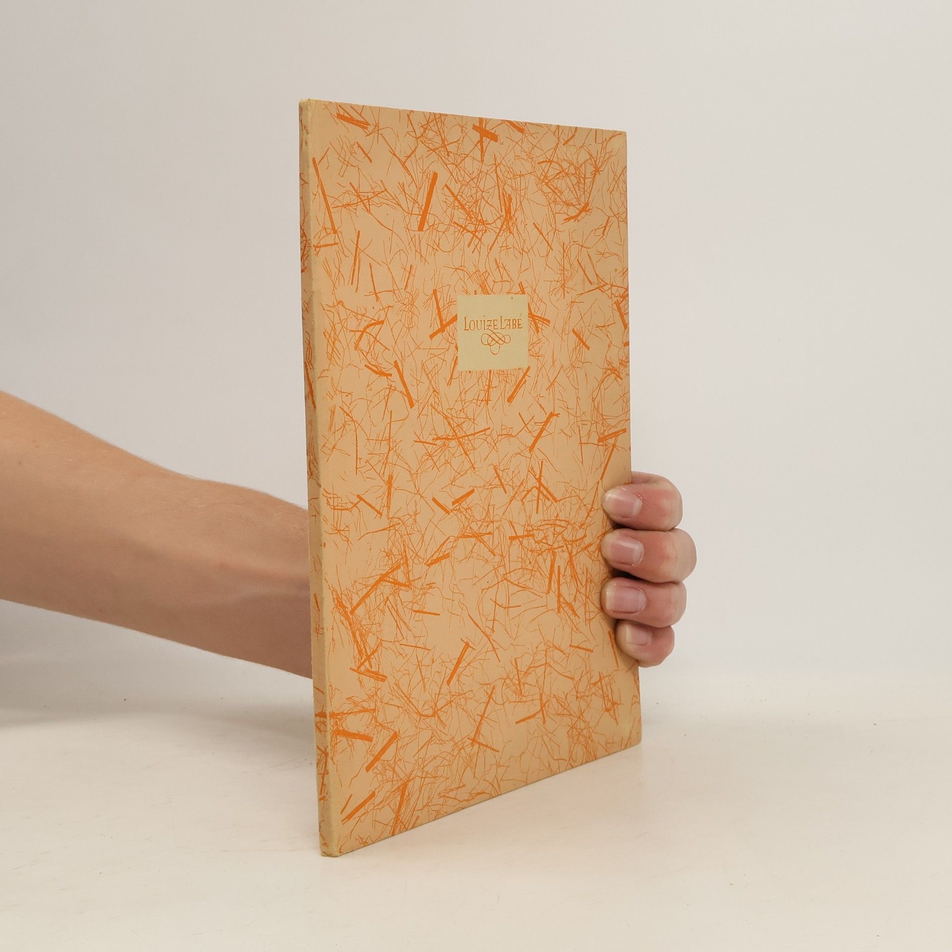 Die Liebesgedichte einer schönen Lyoneser Seilerin namens