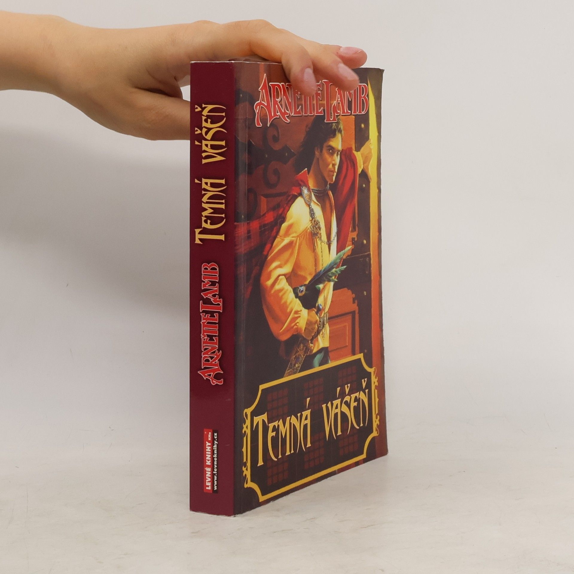 Arnette Lamb Temná vášeň