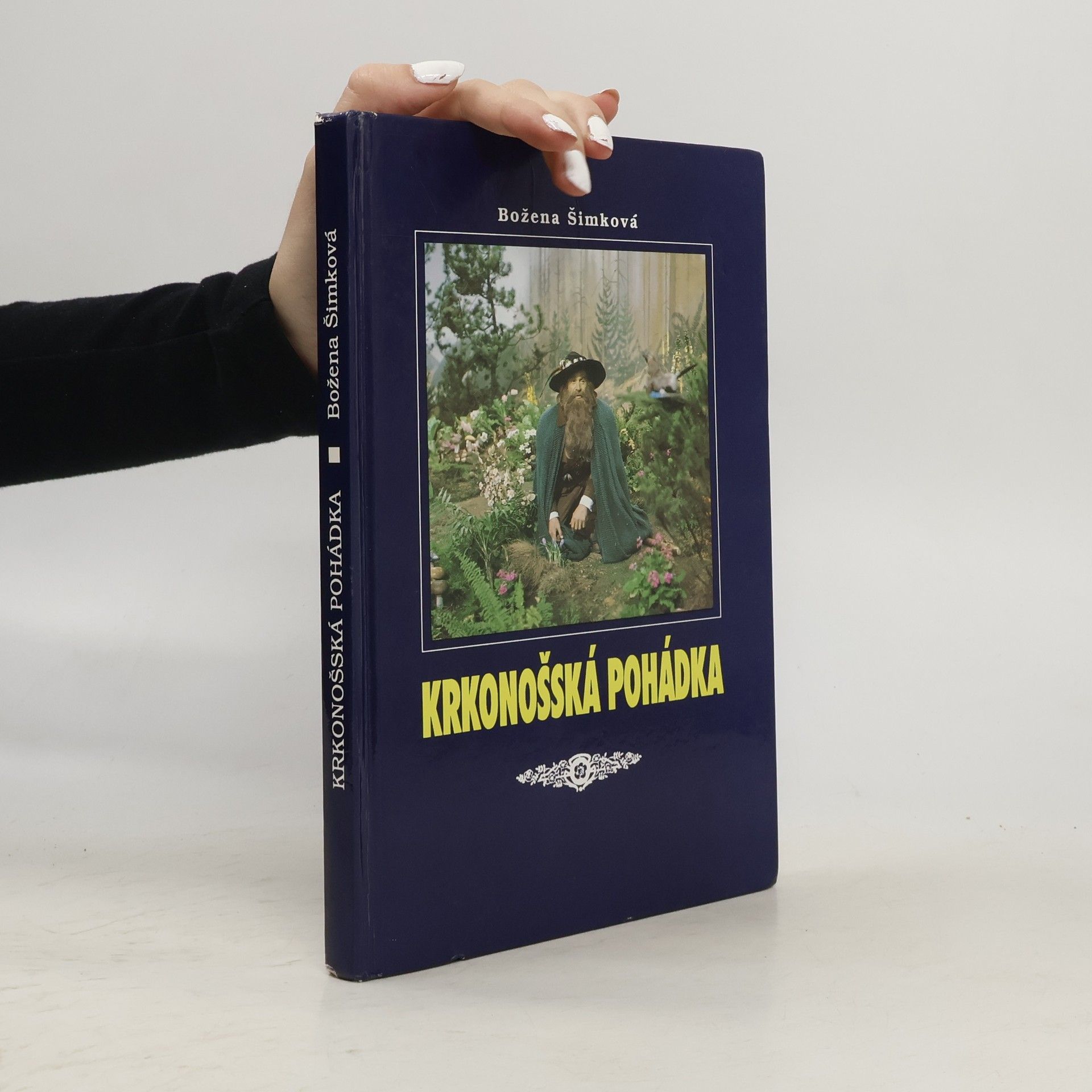 Krkonošská pohádka