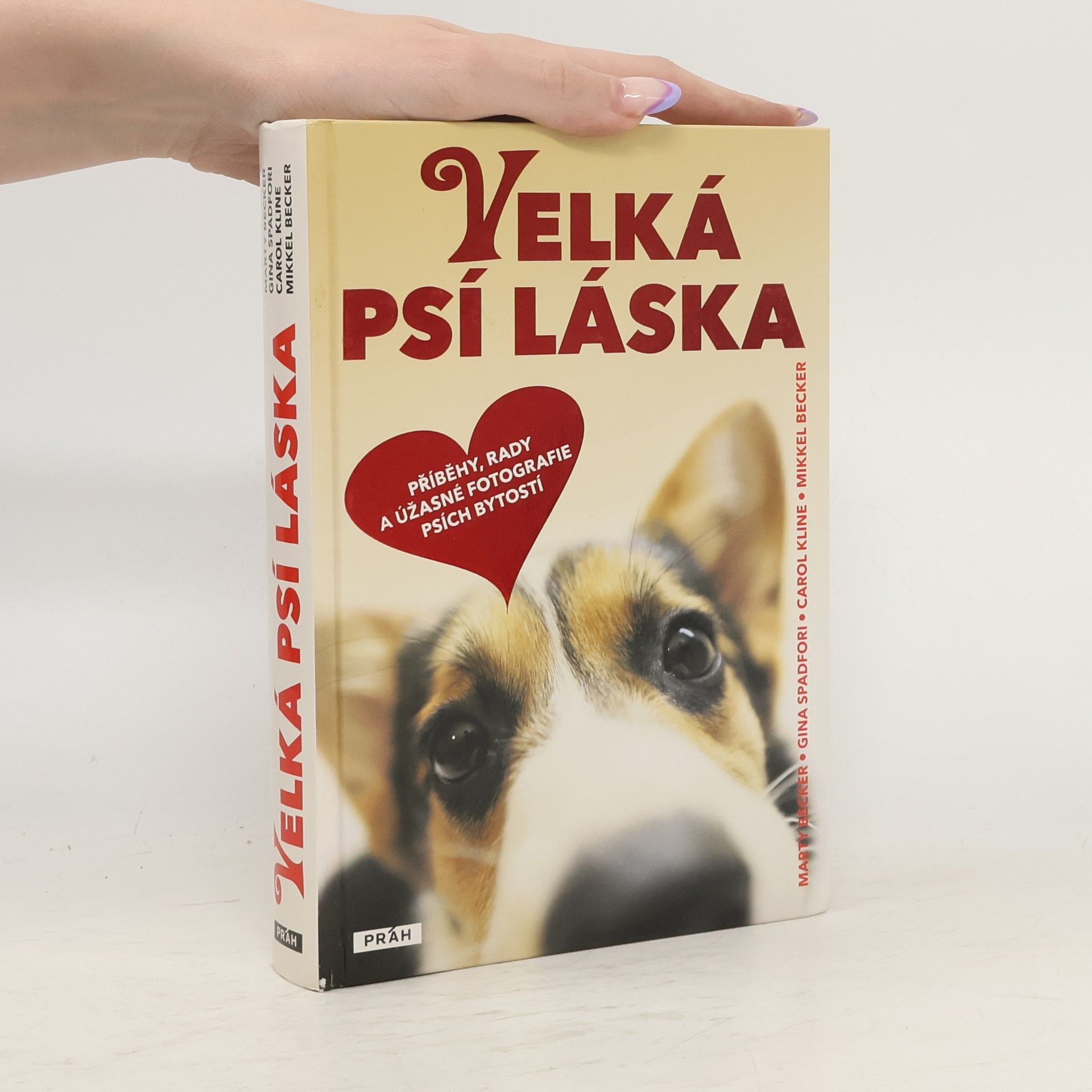 Velká psí láska: Příběhy, rady a úžasné fotografie psích bytostí