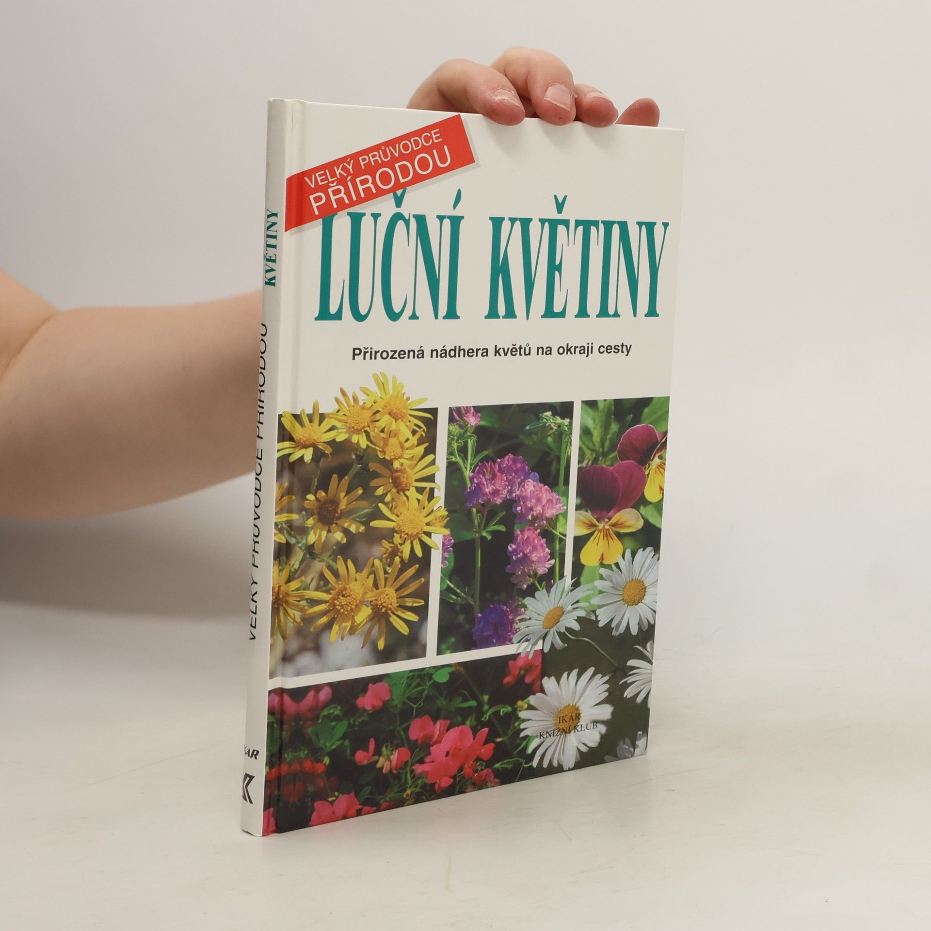 Maria Teresa Della Beffa Luční květiny : přirozená nádhera květů na okraji cesty