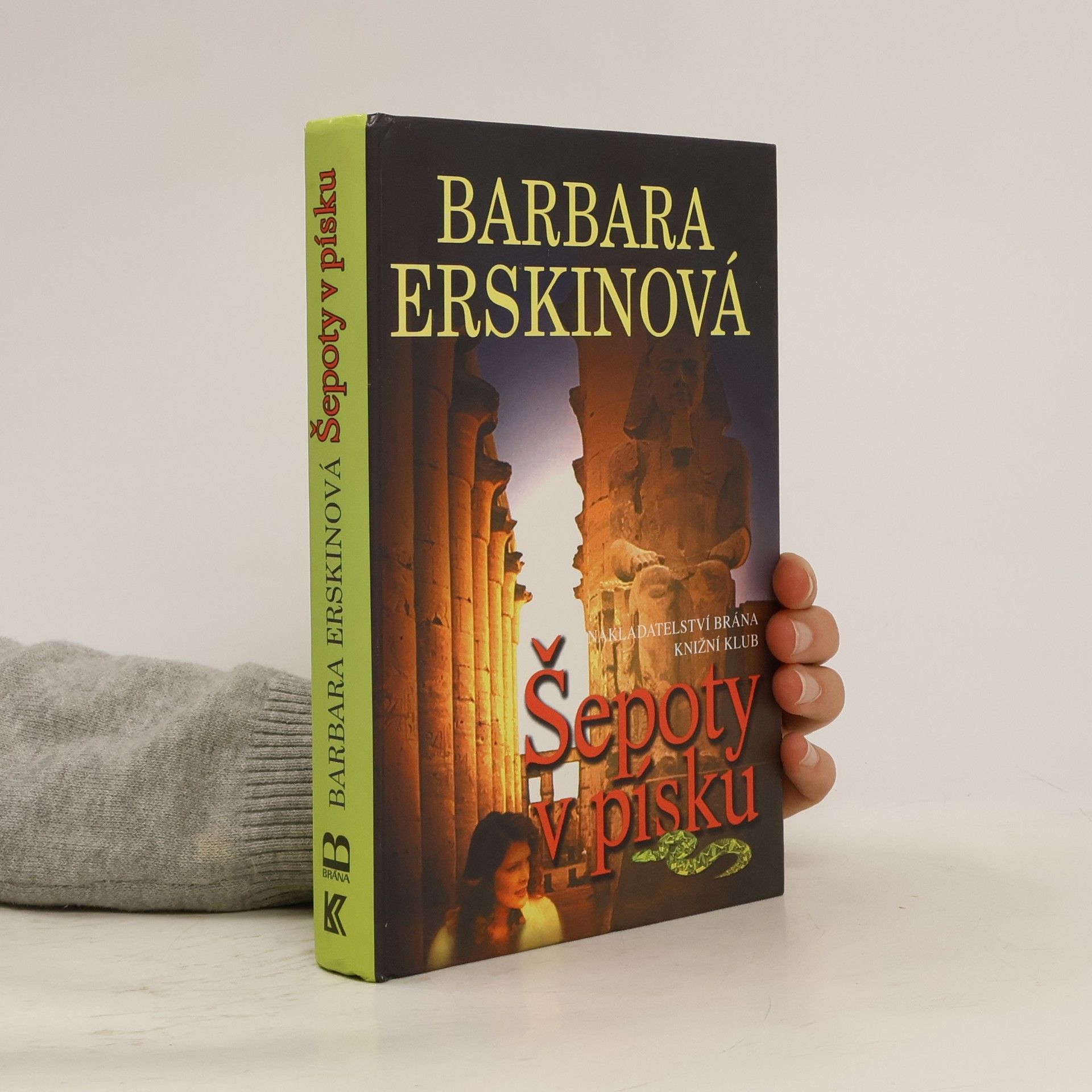 Barbara Erskinová Šepoty v písku