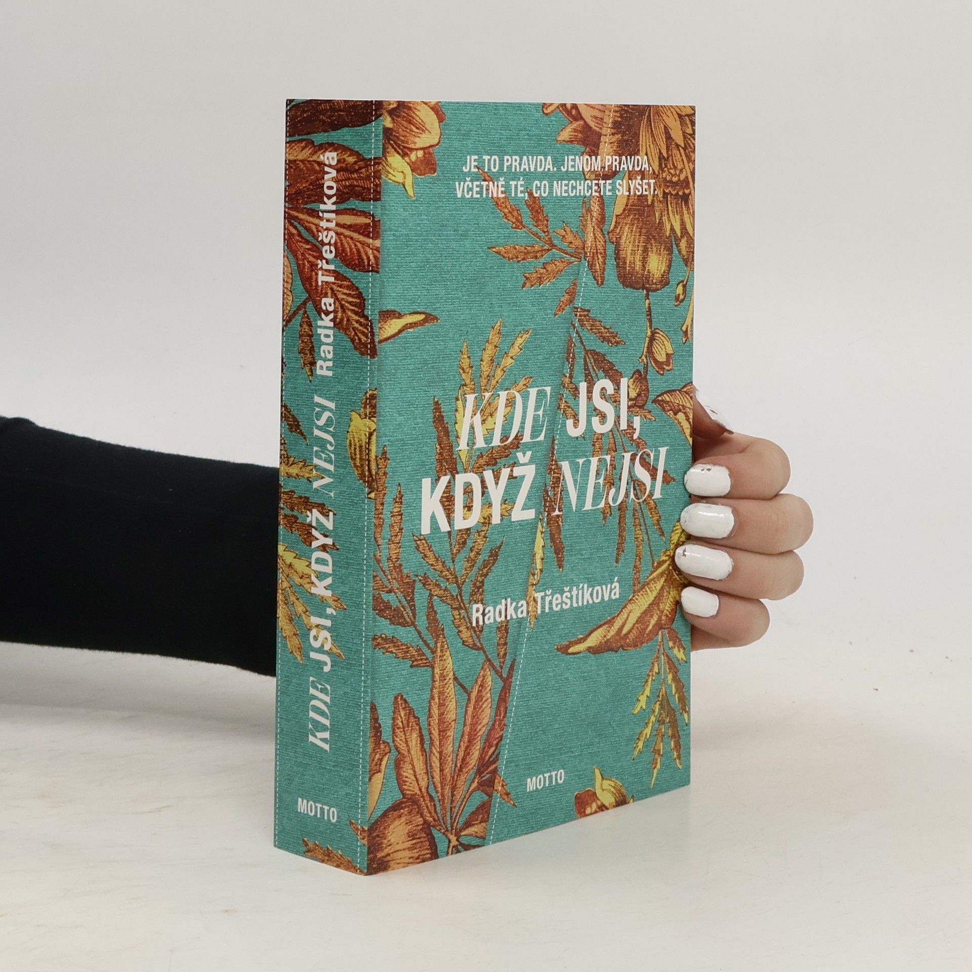 Radka Třeštíková Kde jsi, když nejsi