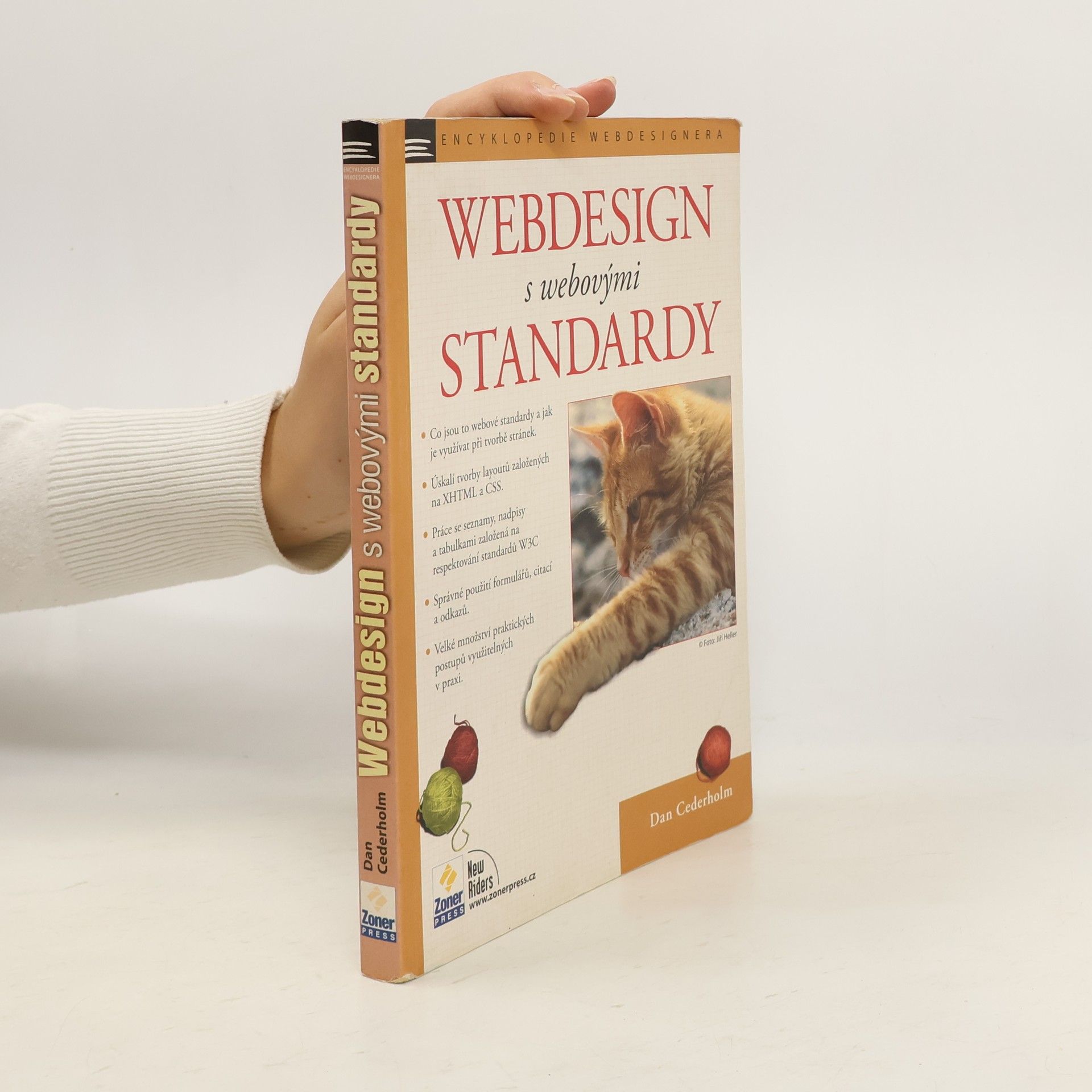 Dan Cederholm Webdesign s webovými standardy