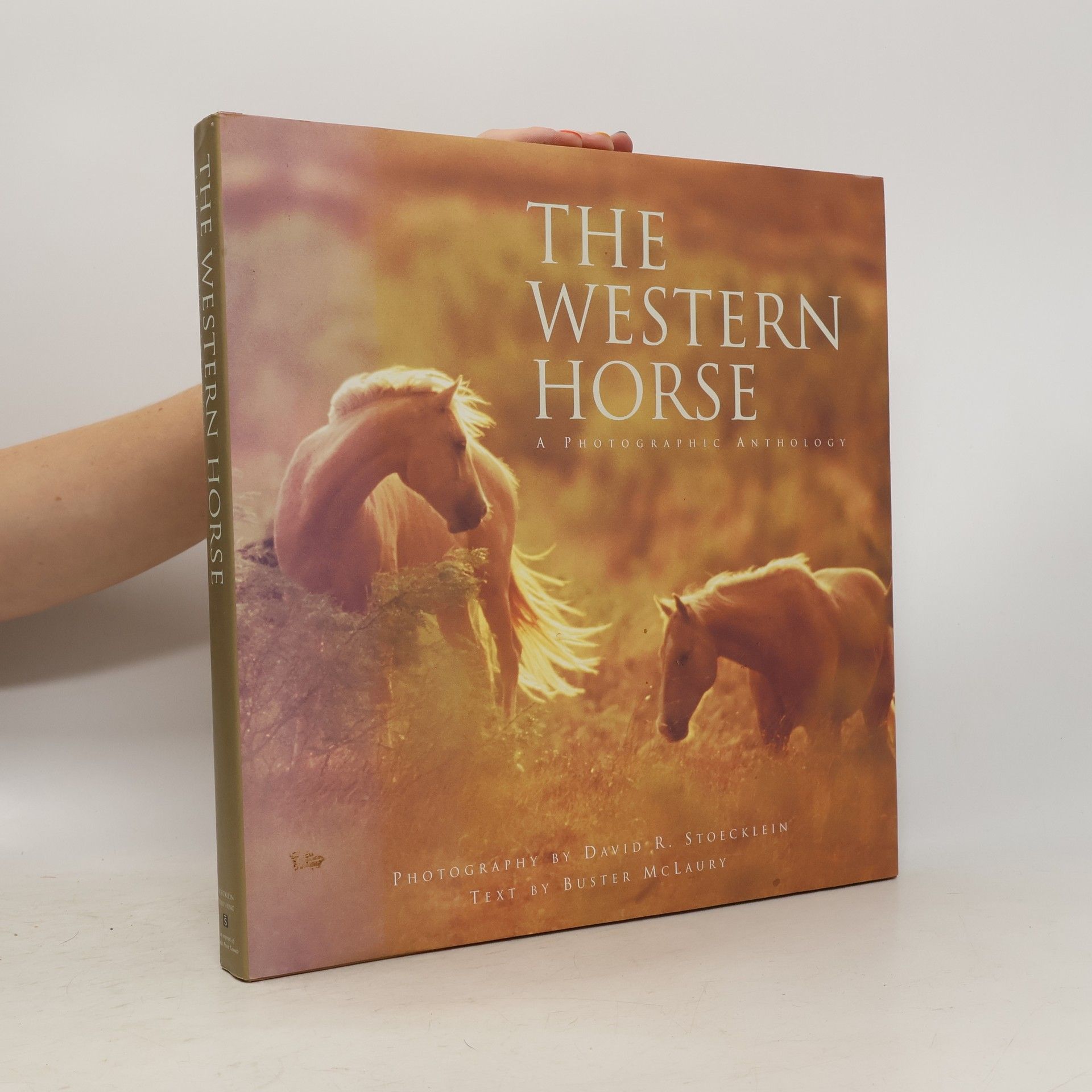 Collectif d'auteurs The western horse
