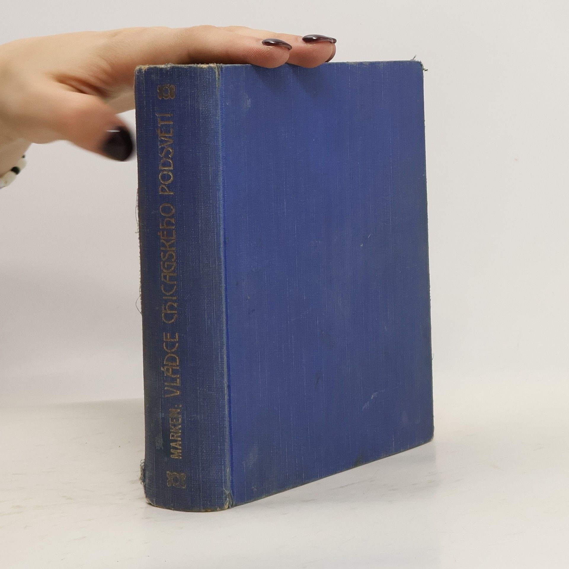 A. M. Bělská Vládce chicagského podsvětí