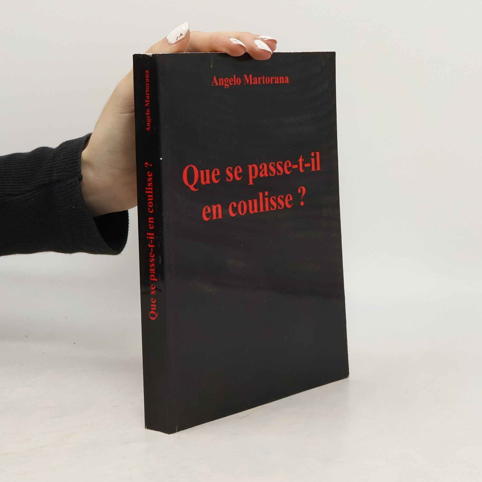 Angelo Martorana Que se passe-t-il en coulisse ?