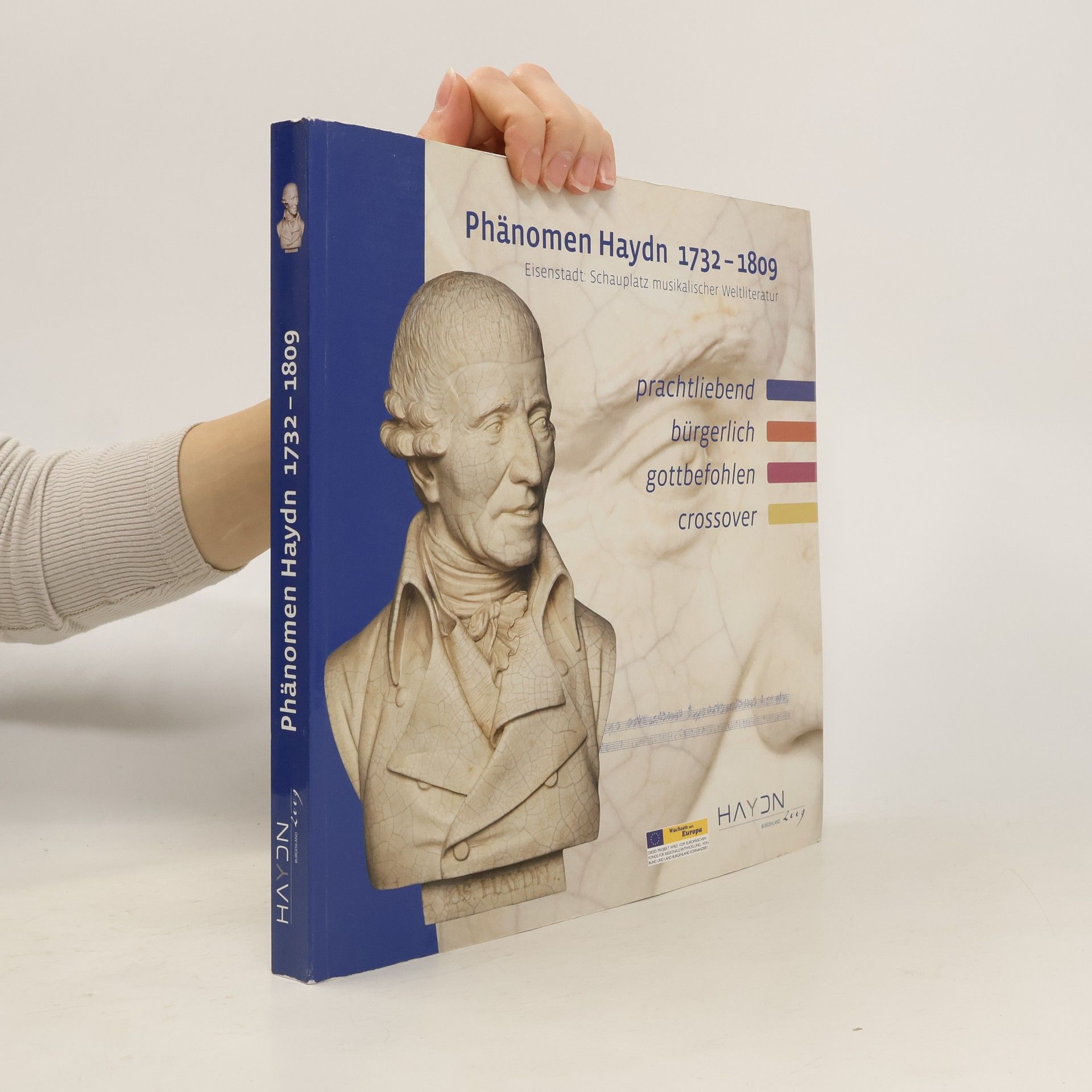 Kolektív autorov Phänomen Haydn 1732 - 1809
