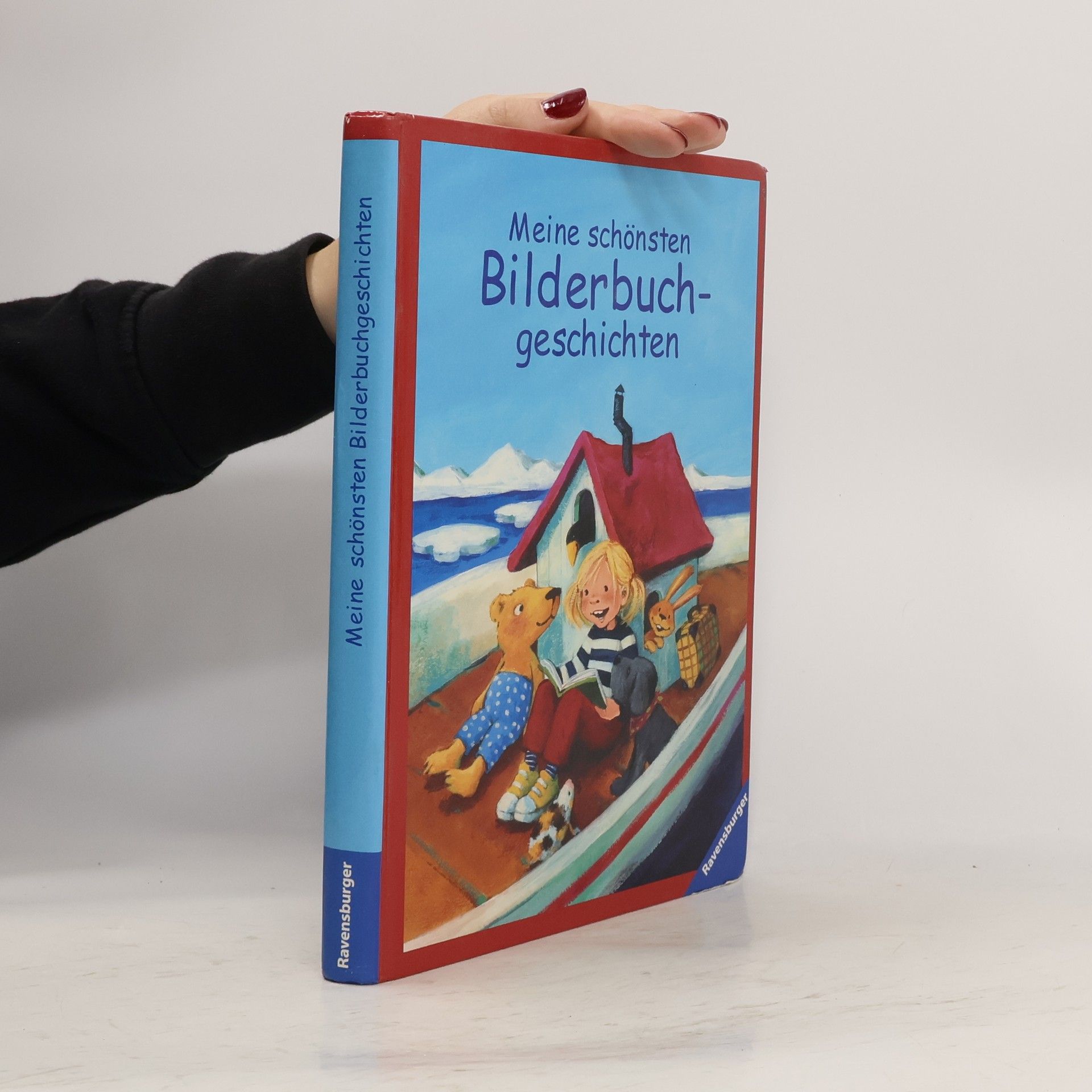 Autorenkollektiv Meine schönsten Bilderbuchgeschichten