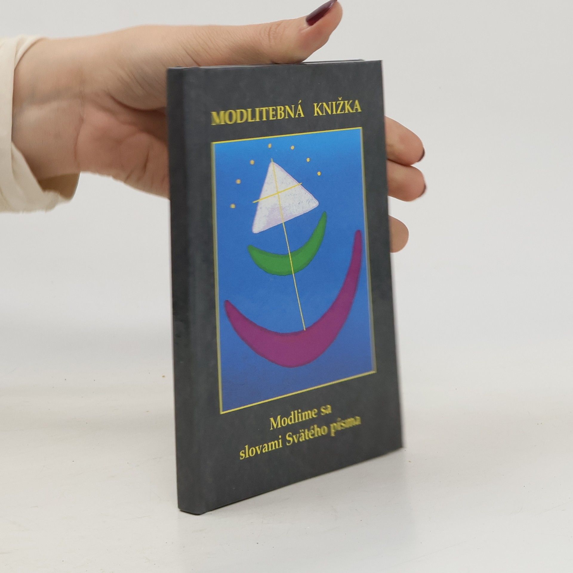 Collectif d'auteurs Modlitebná knižka : Modlime sa slovami Svätého písma