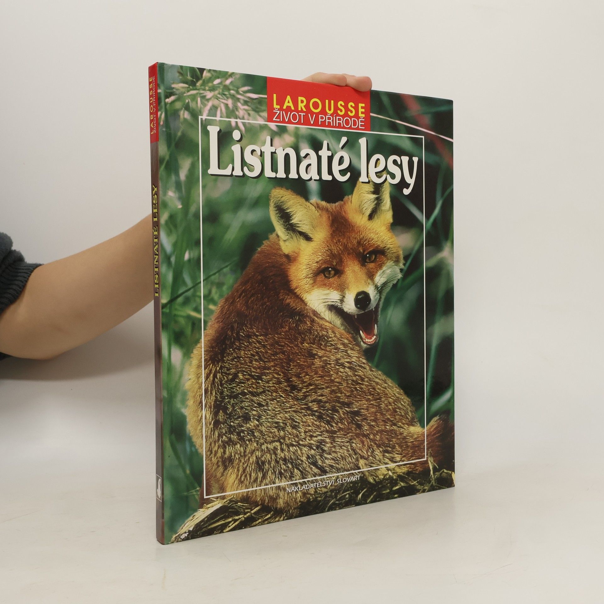 Kolektív autorov Listnaté lesy