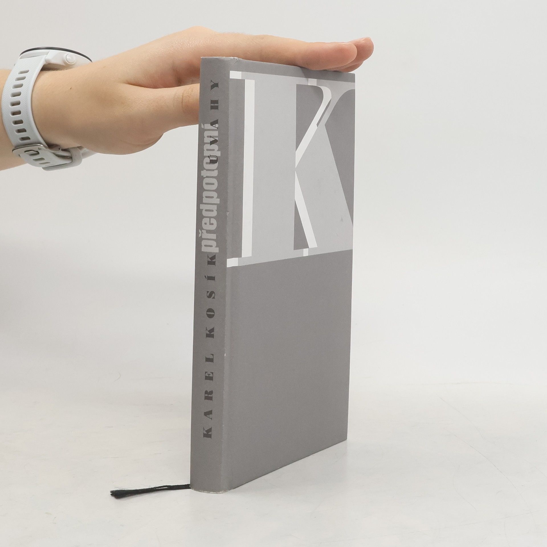 Karel Kosík Předpotopní úvahy