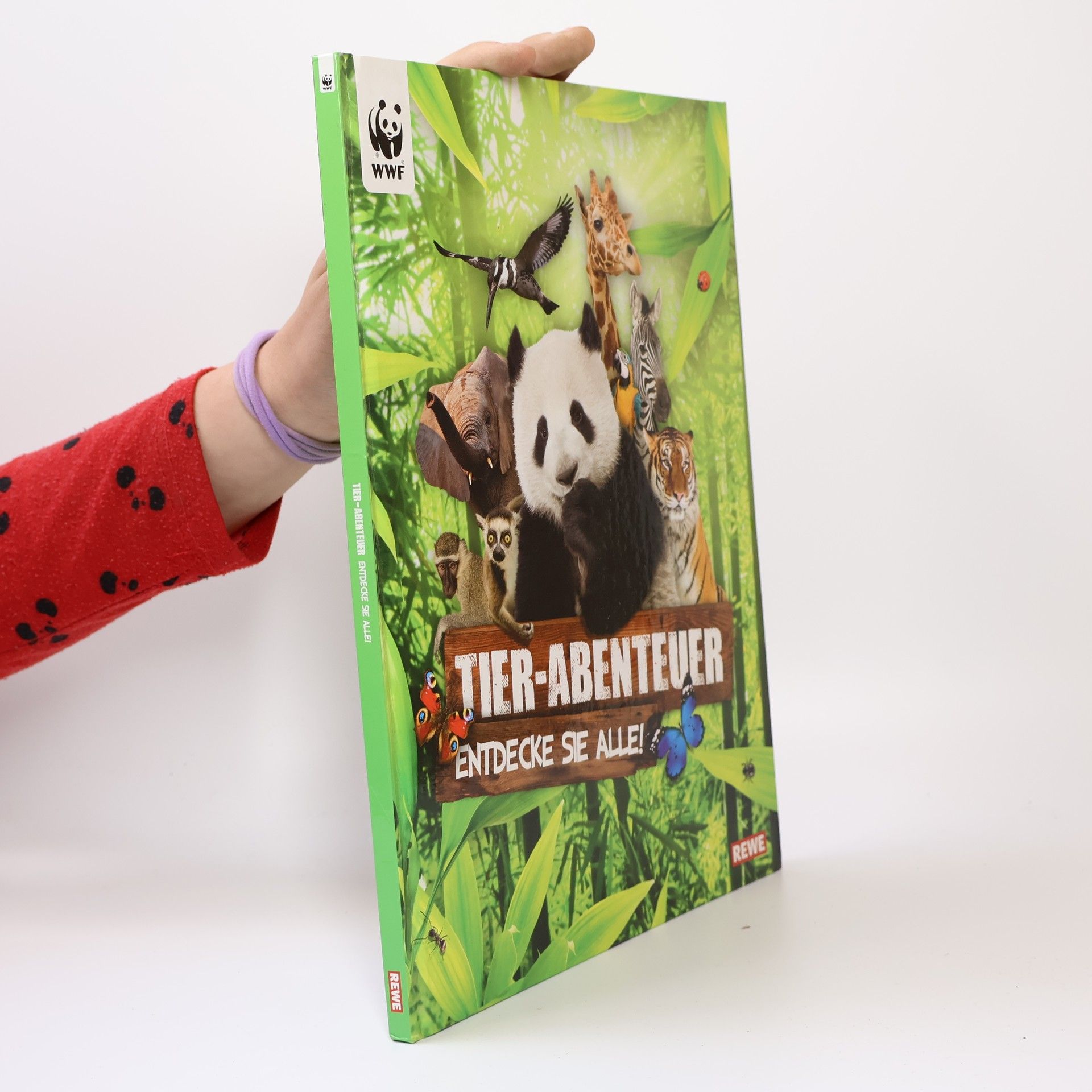 Autorenkollektiv Tier-Abenteuer Entdecke sie Alle!