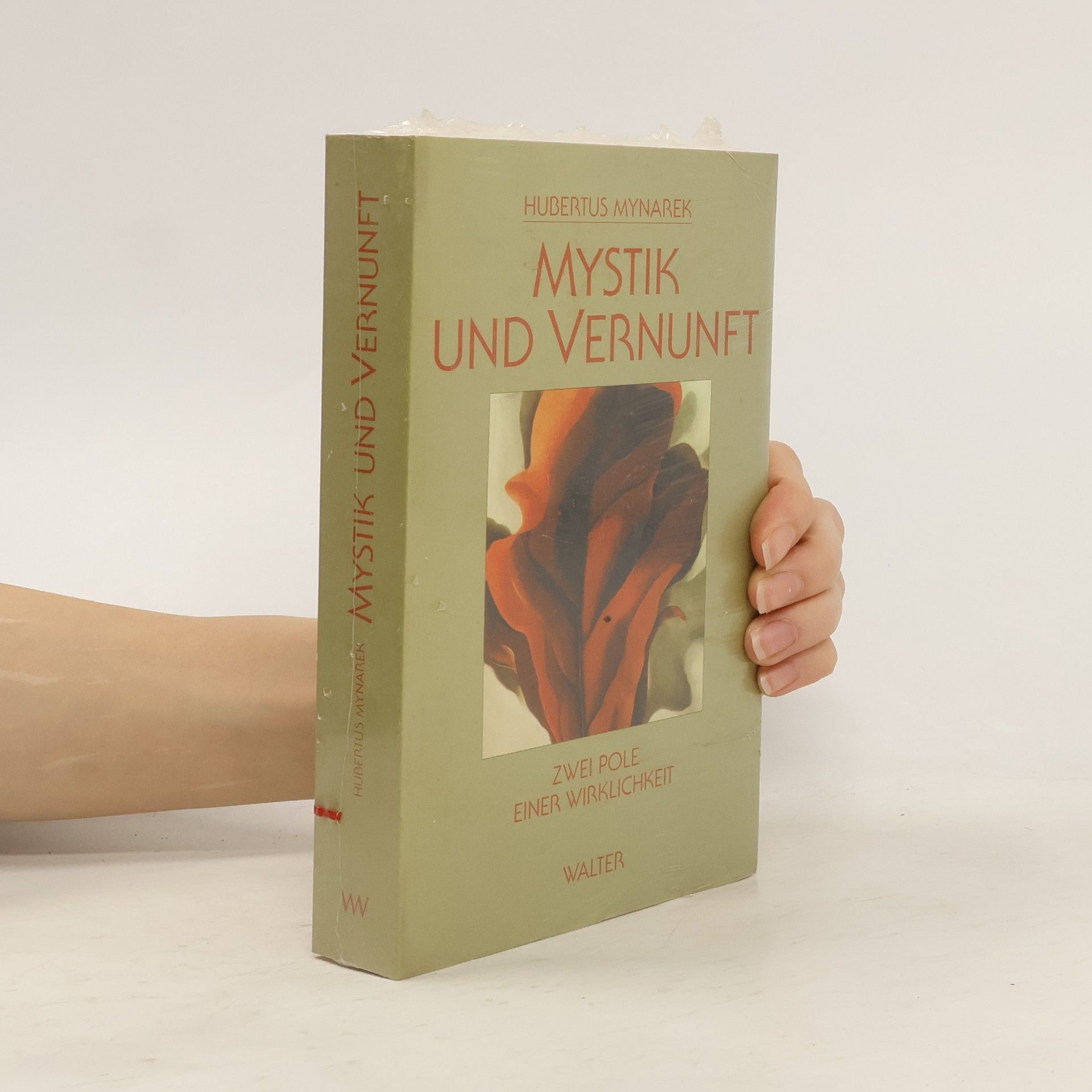 Hubertus Mynarek Mystik und Vernunft