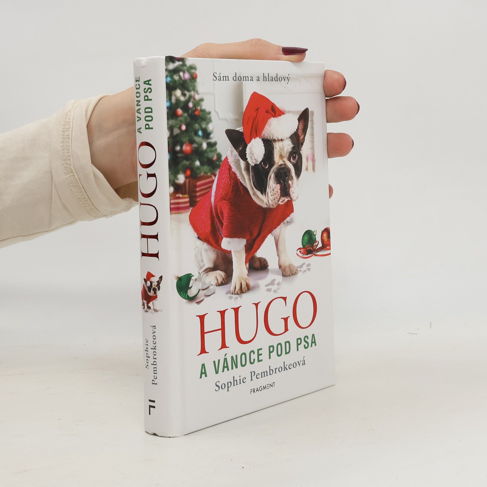 Sophie Pembroke Hugo a Vánoce pod psa