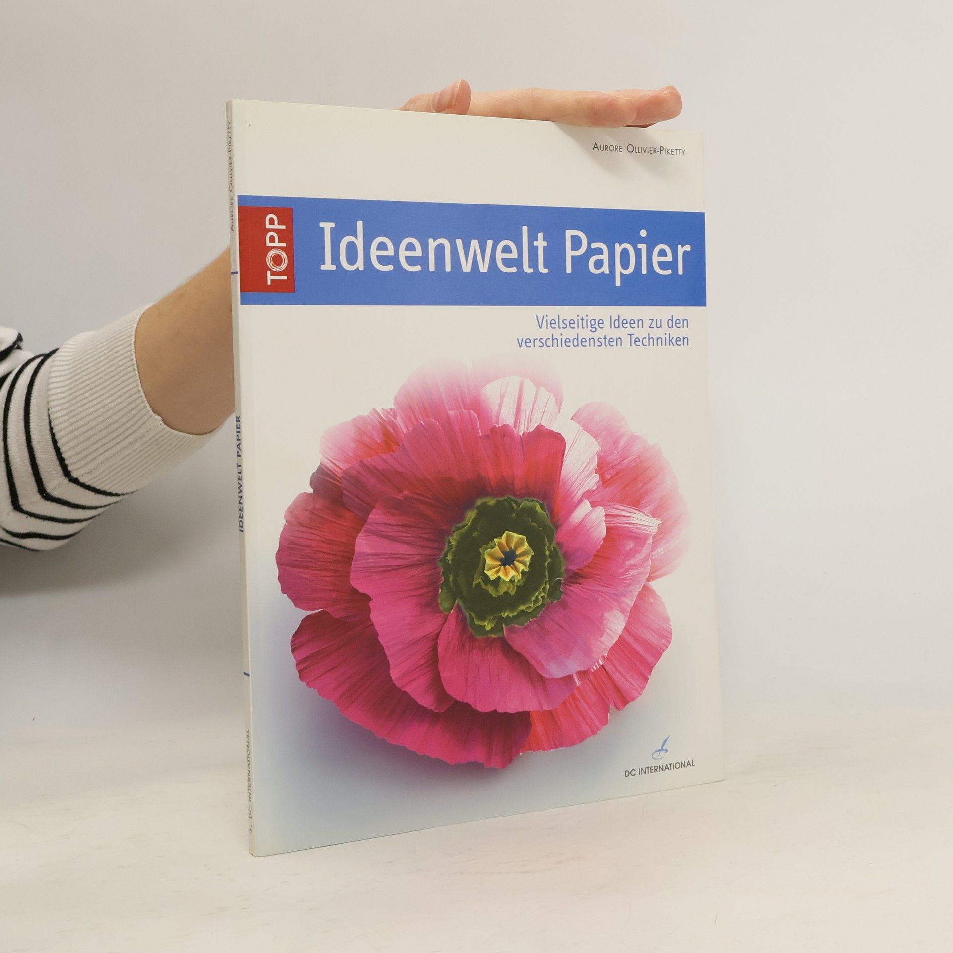 Aurore Ollivier-Piketty Ideenwelt Papier