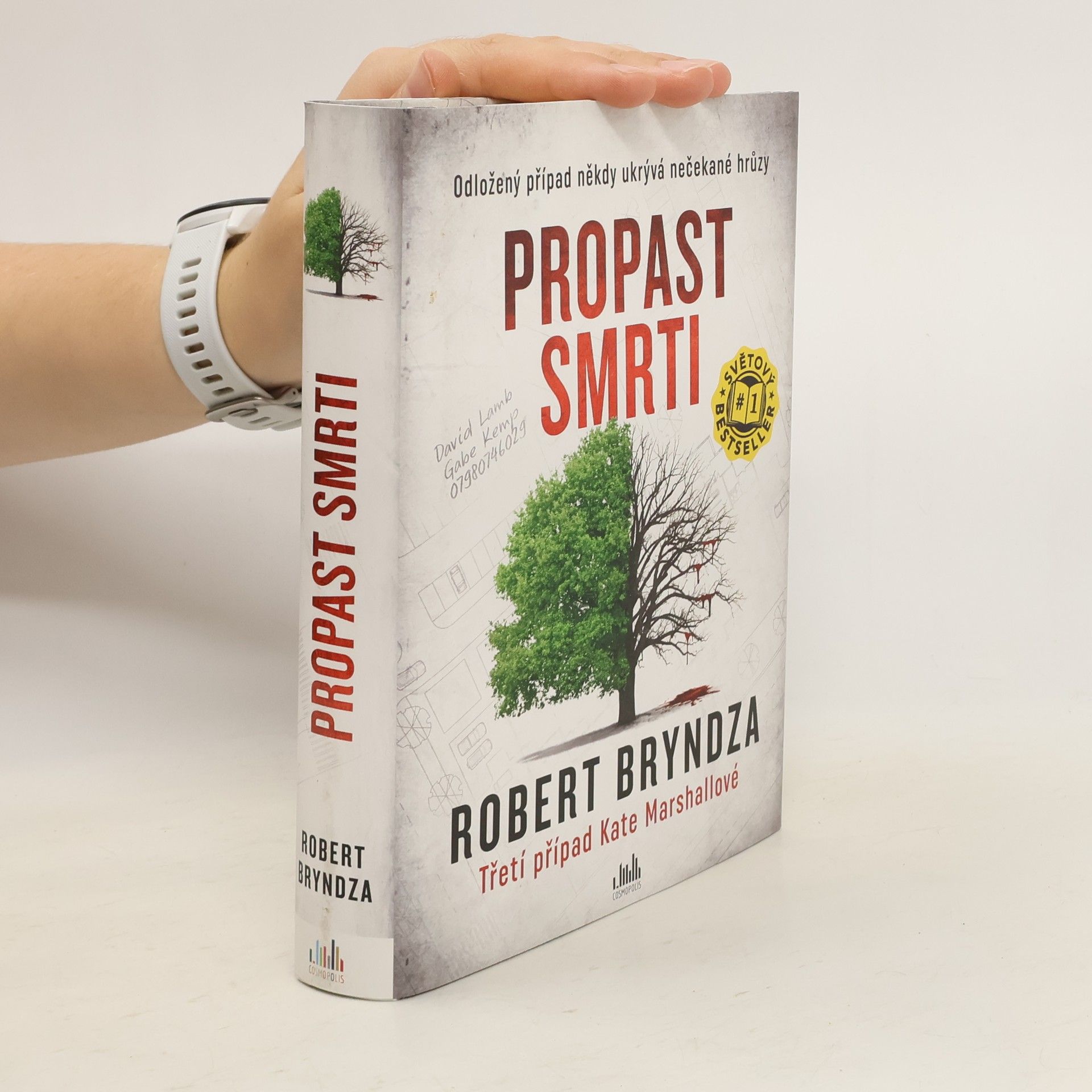 Robert Bryndza Propast smrti