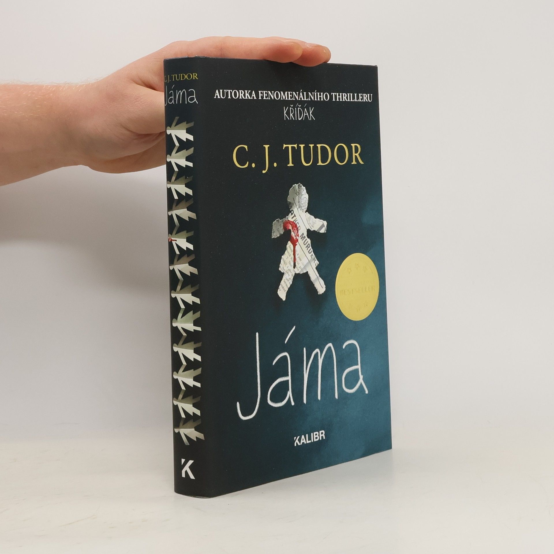 C. J. Tudor Jáma