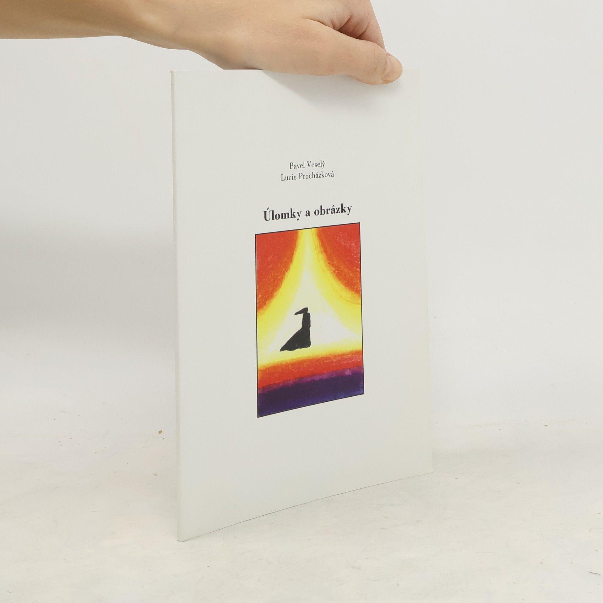 Veselý Procházková Úlomky a obrázky (Obr, nestr., foto L. Procházková, dedikace autora)