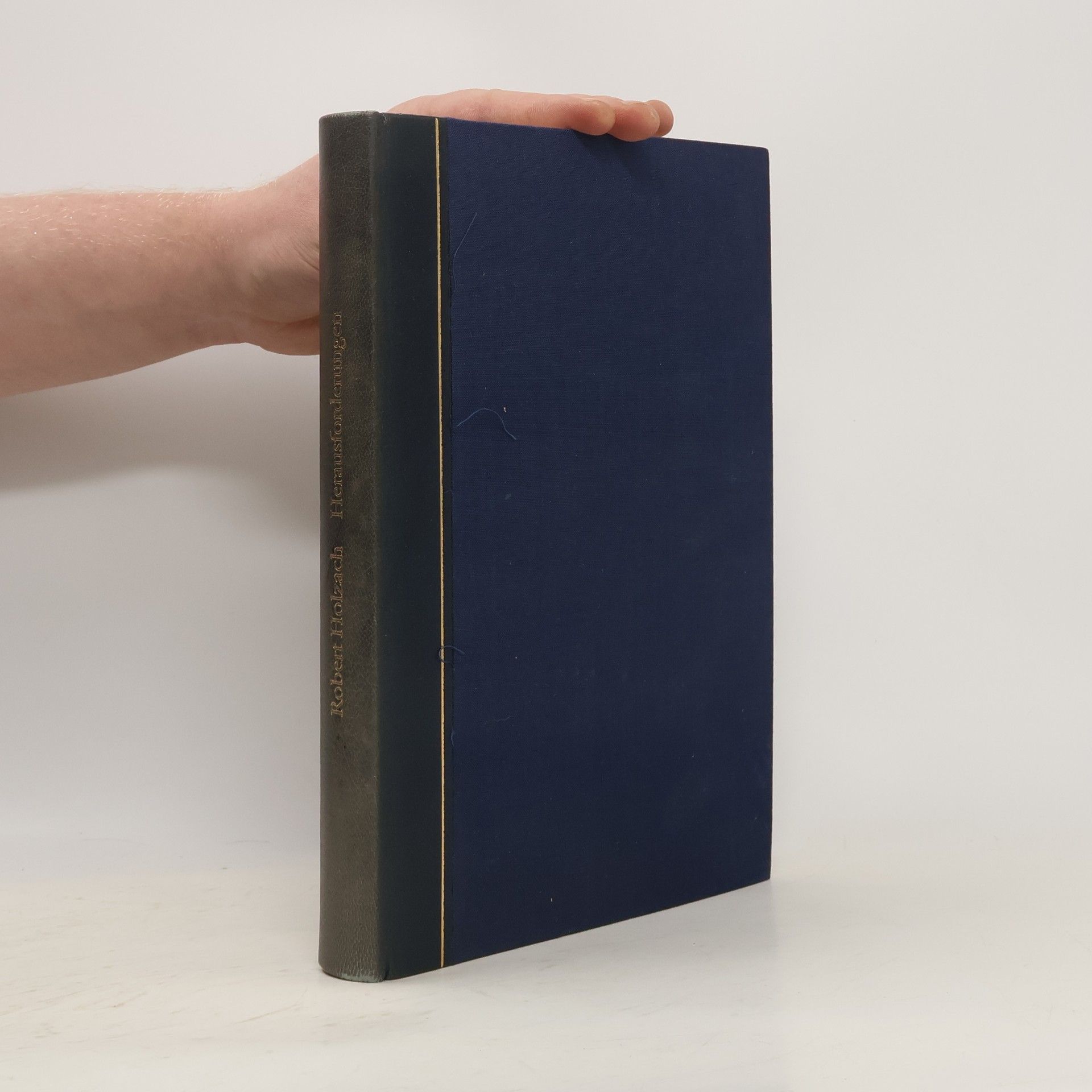 Robert Holzach Herausforderungen