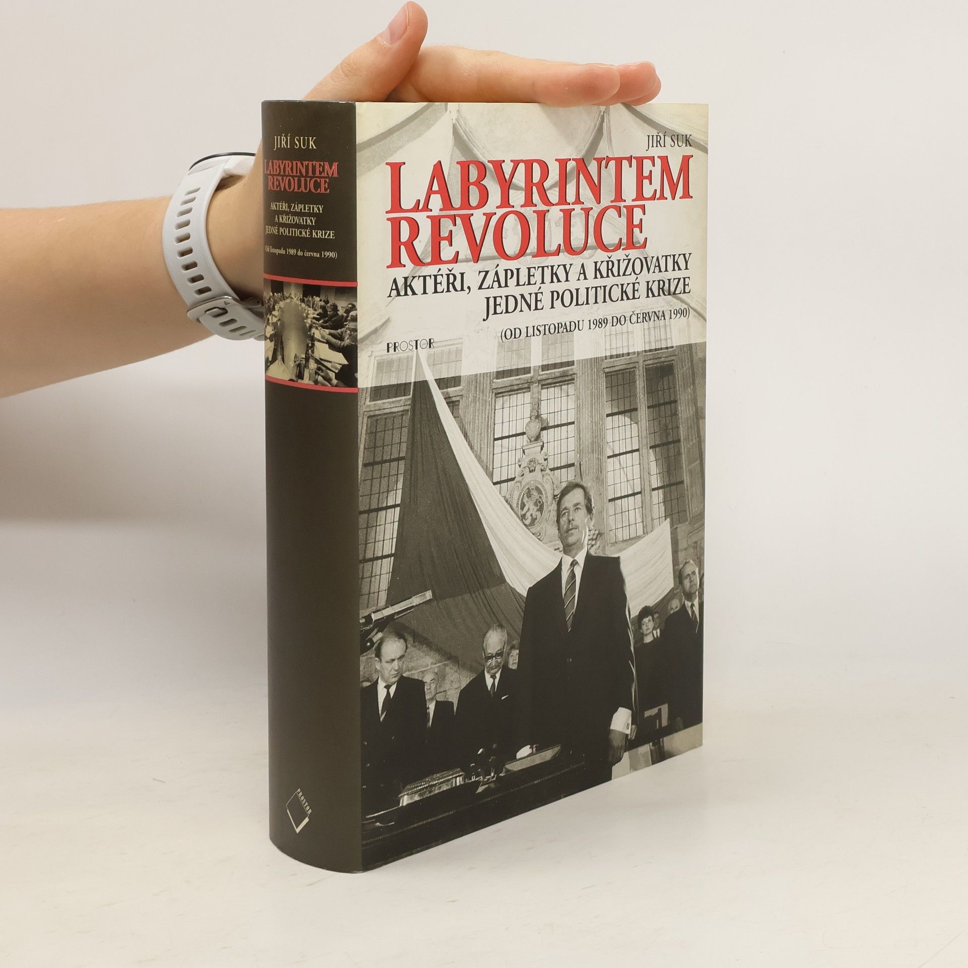 Jiří Suk Labyrintem revoluce. Aktéři, zápletky a křižovatky jedné politické krize (od listopadu 1989 do června 1990)