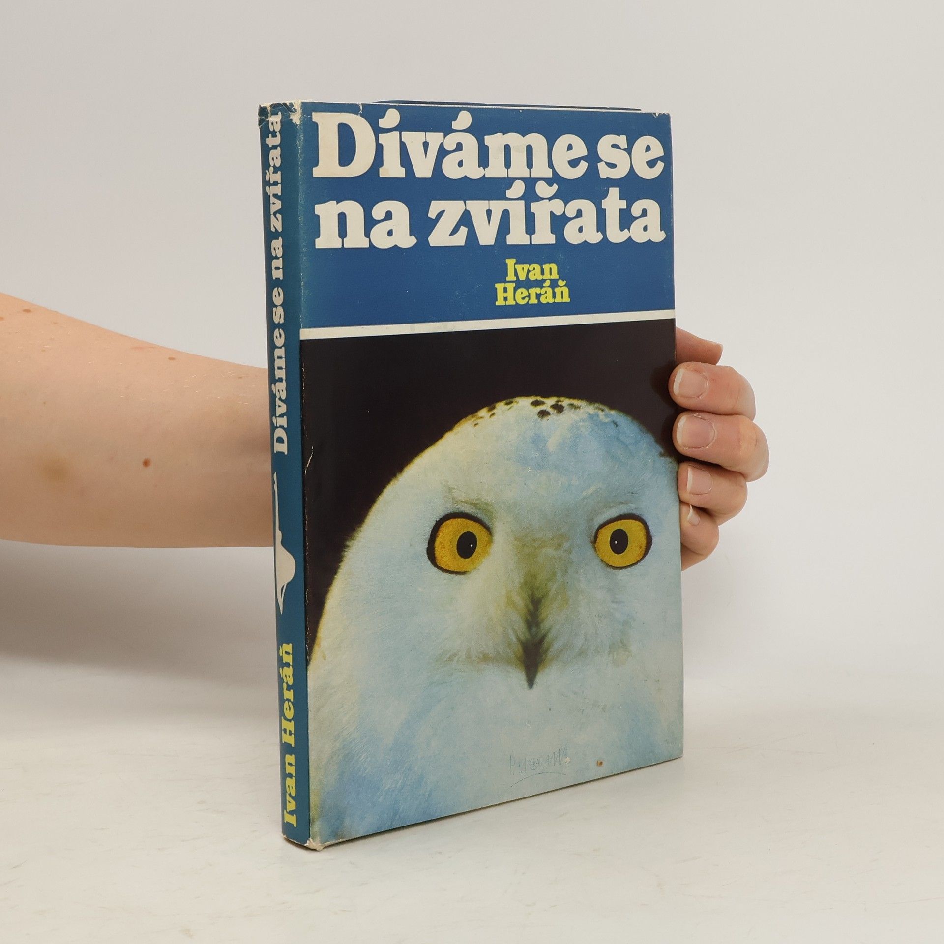 Díváme se na zvířata