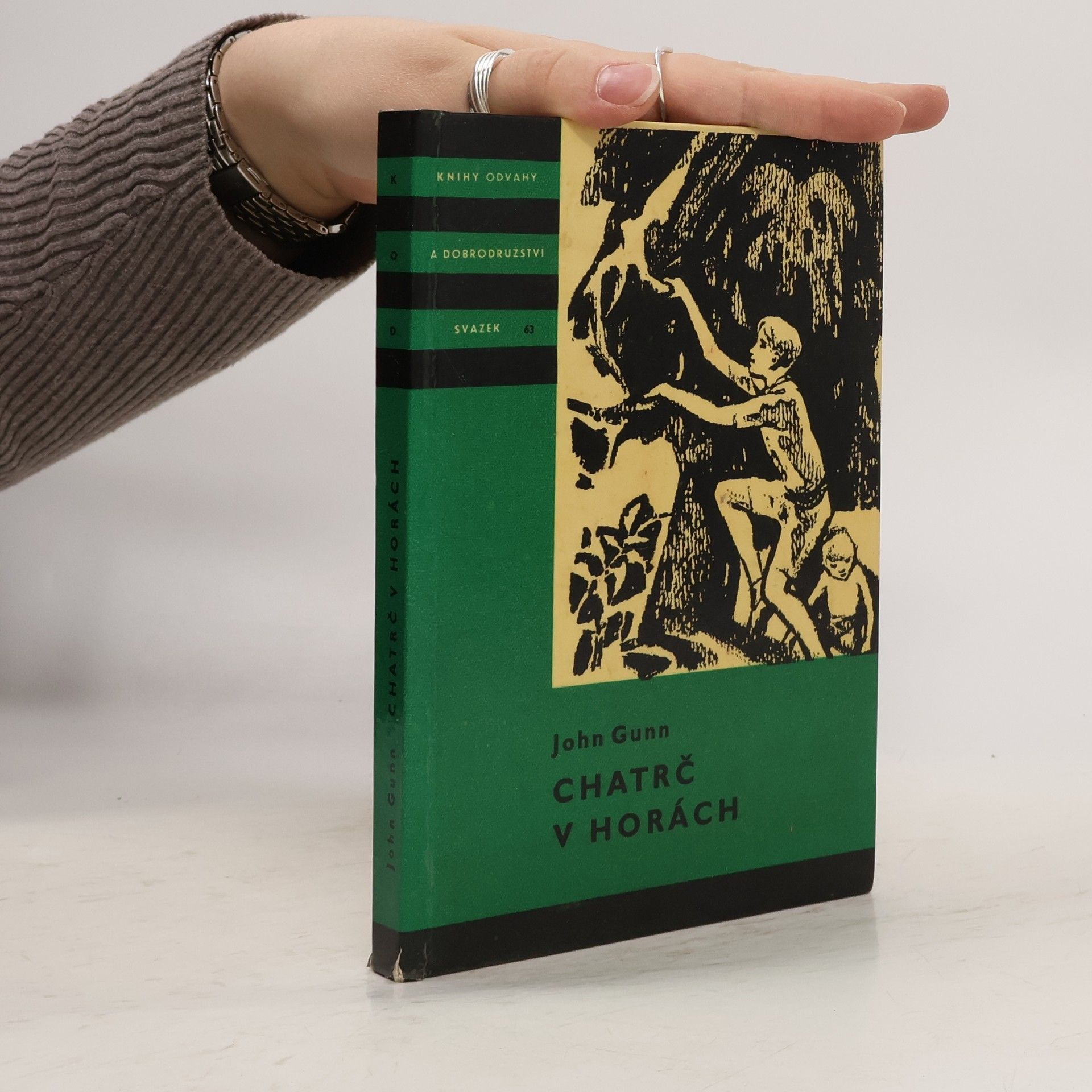 John Gunn Chatrč v horách