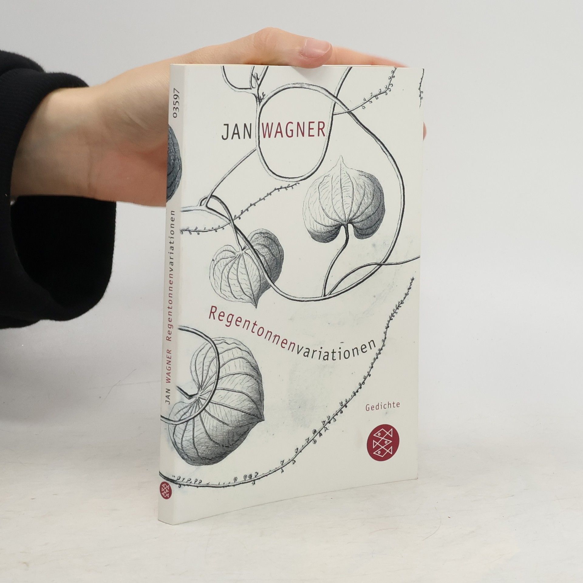 Wagner Jan Regentonnenvariationen