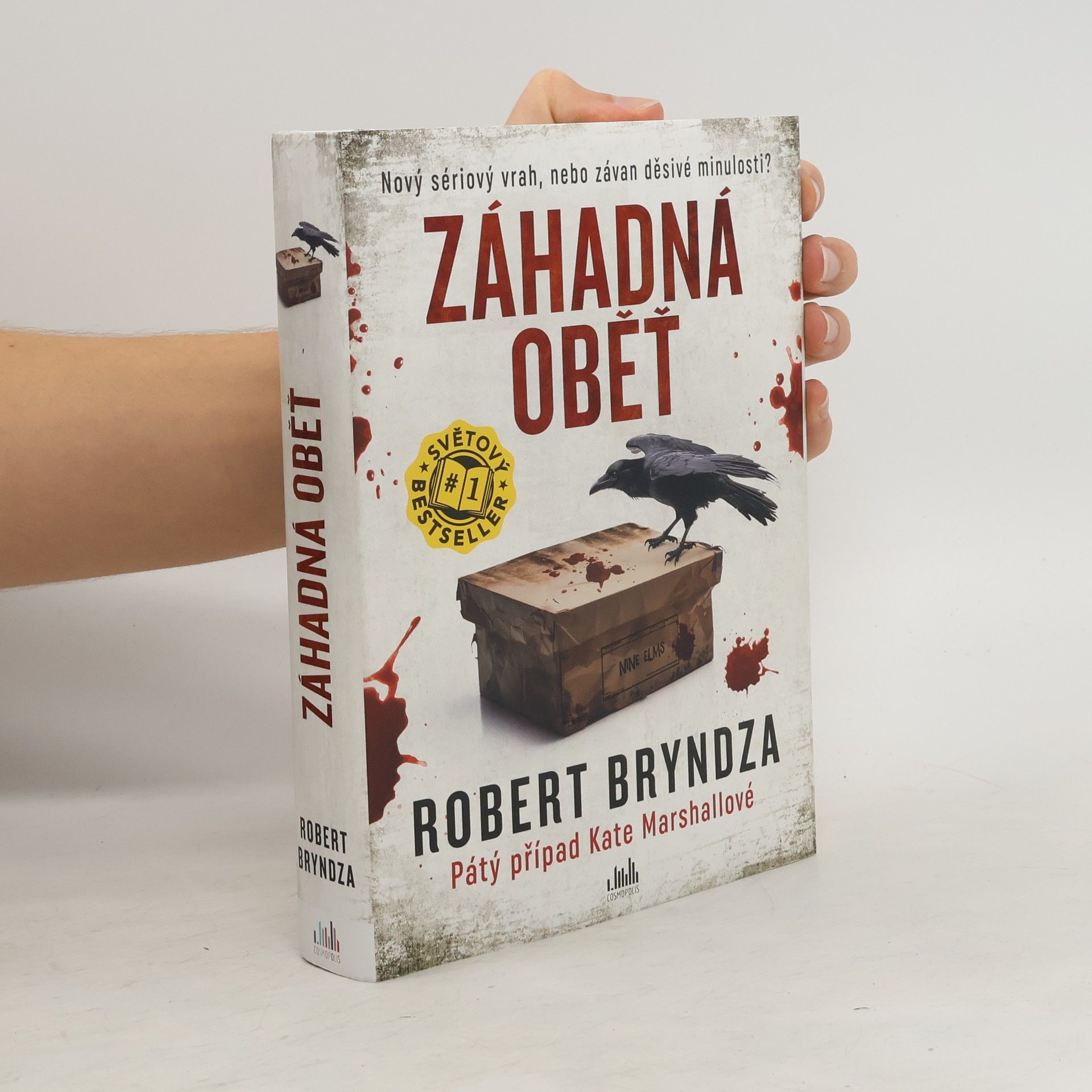 Robert Bryndza Záhadná oběť