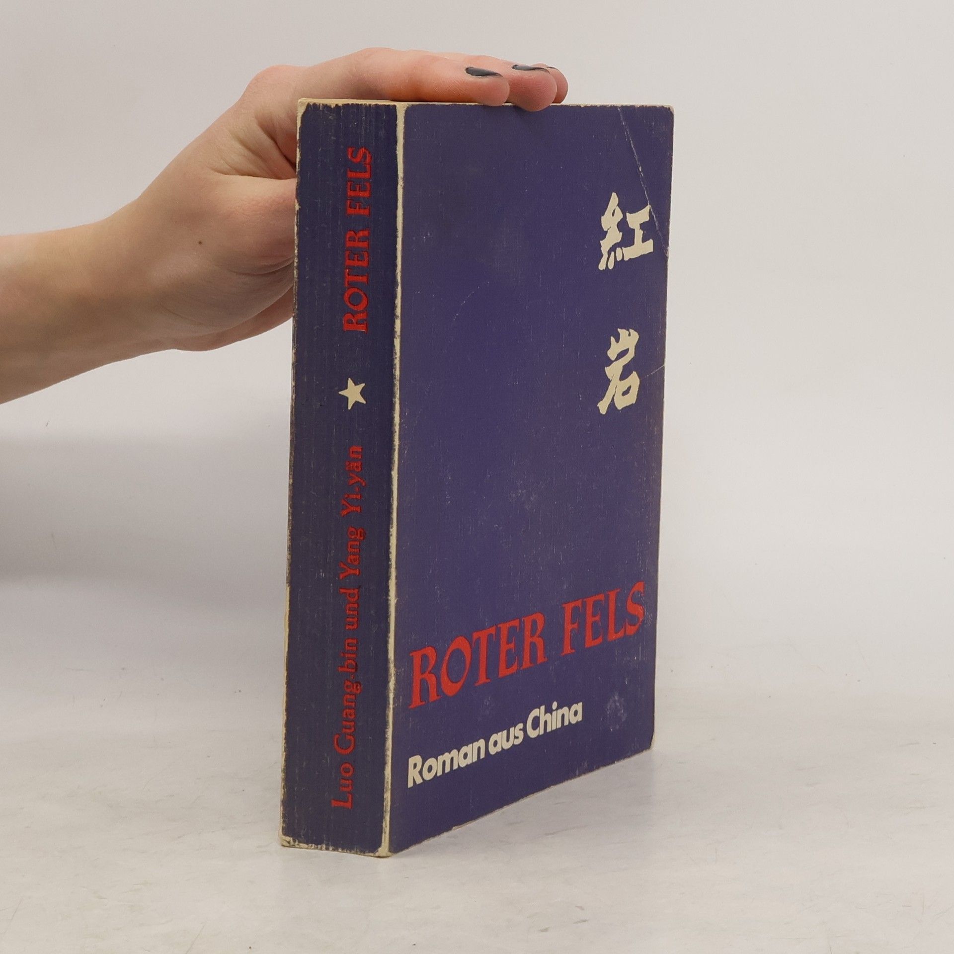 Collectif d'auteurs Roter Fels. Roman aus China