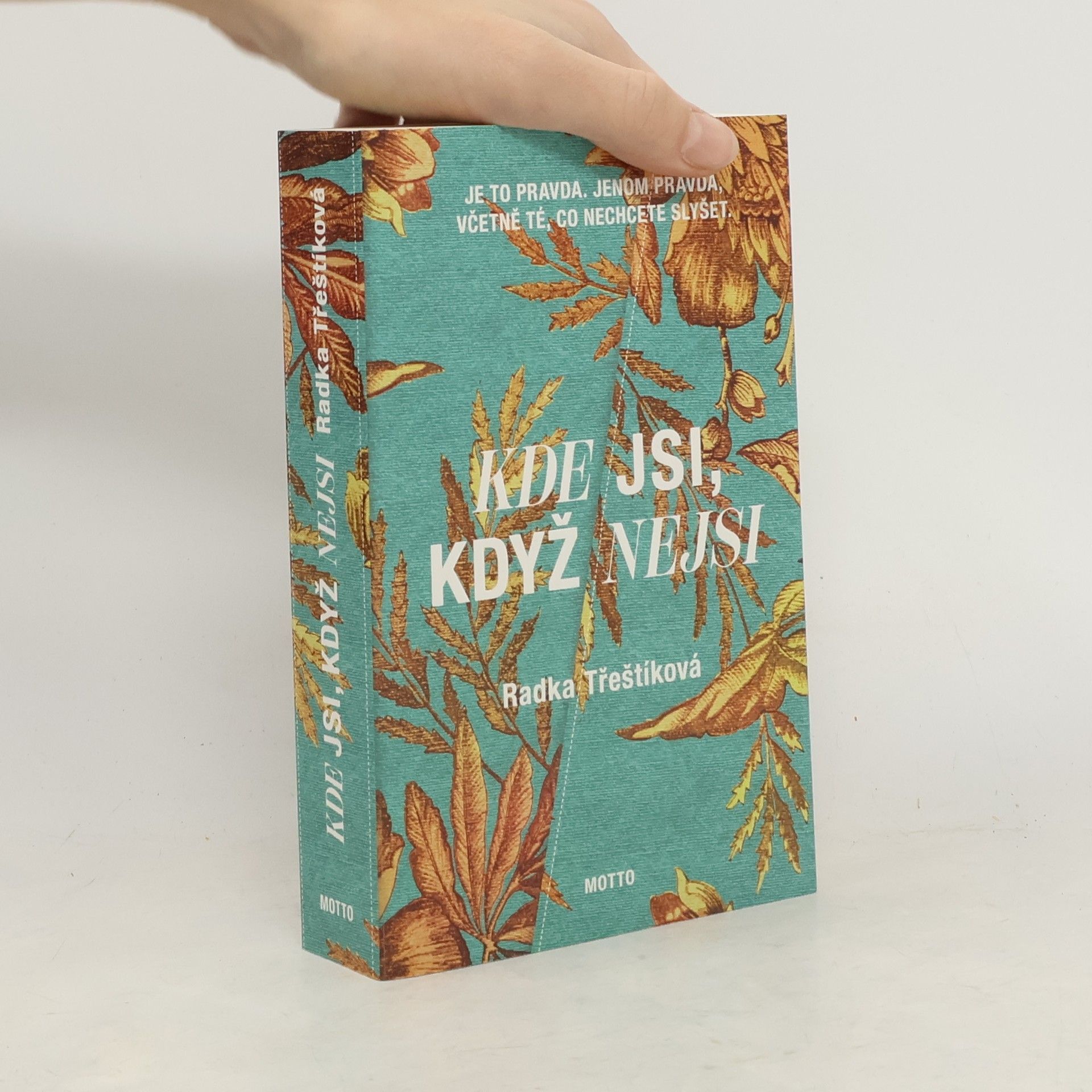 Radka Třeštíková Kde jsi, když nejsi