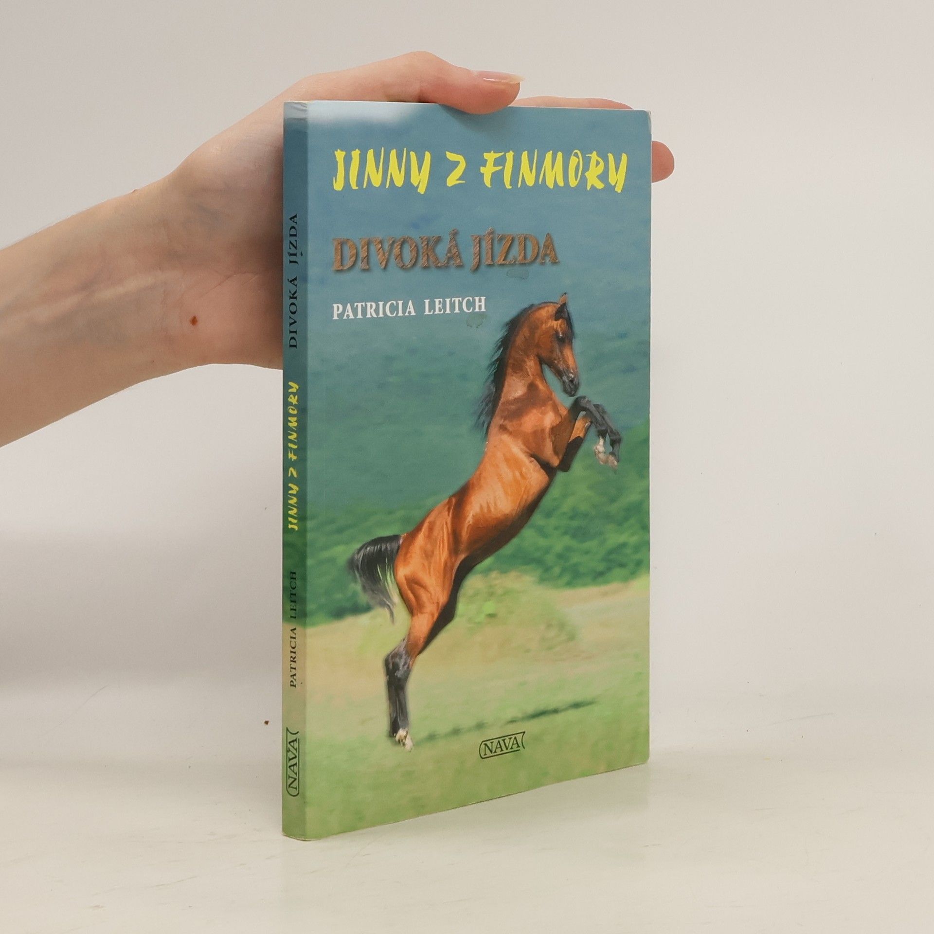 Patricia Leitch Divoká jízda