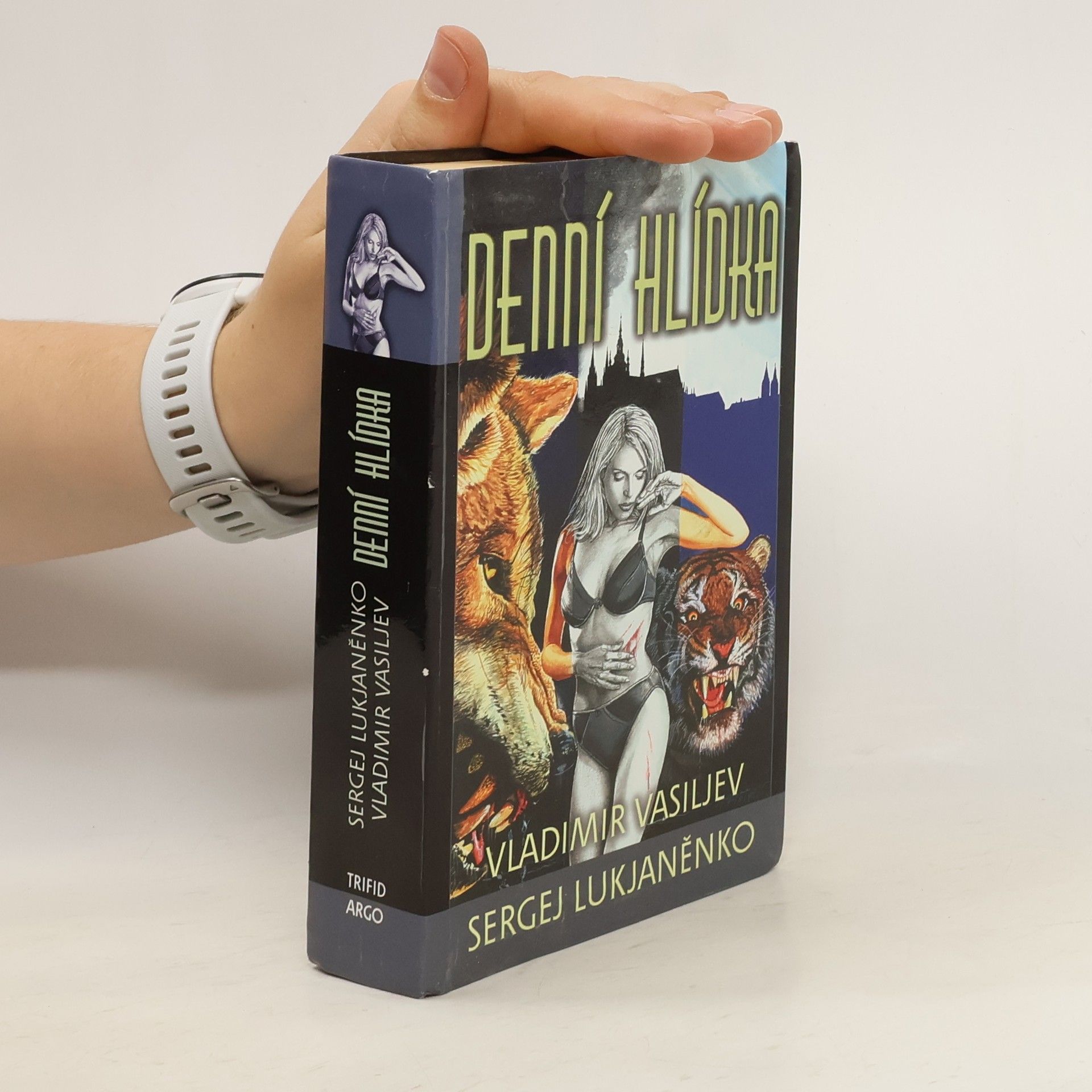 Sergej Vasiljevič Lukjaněnko Denní hlídka